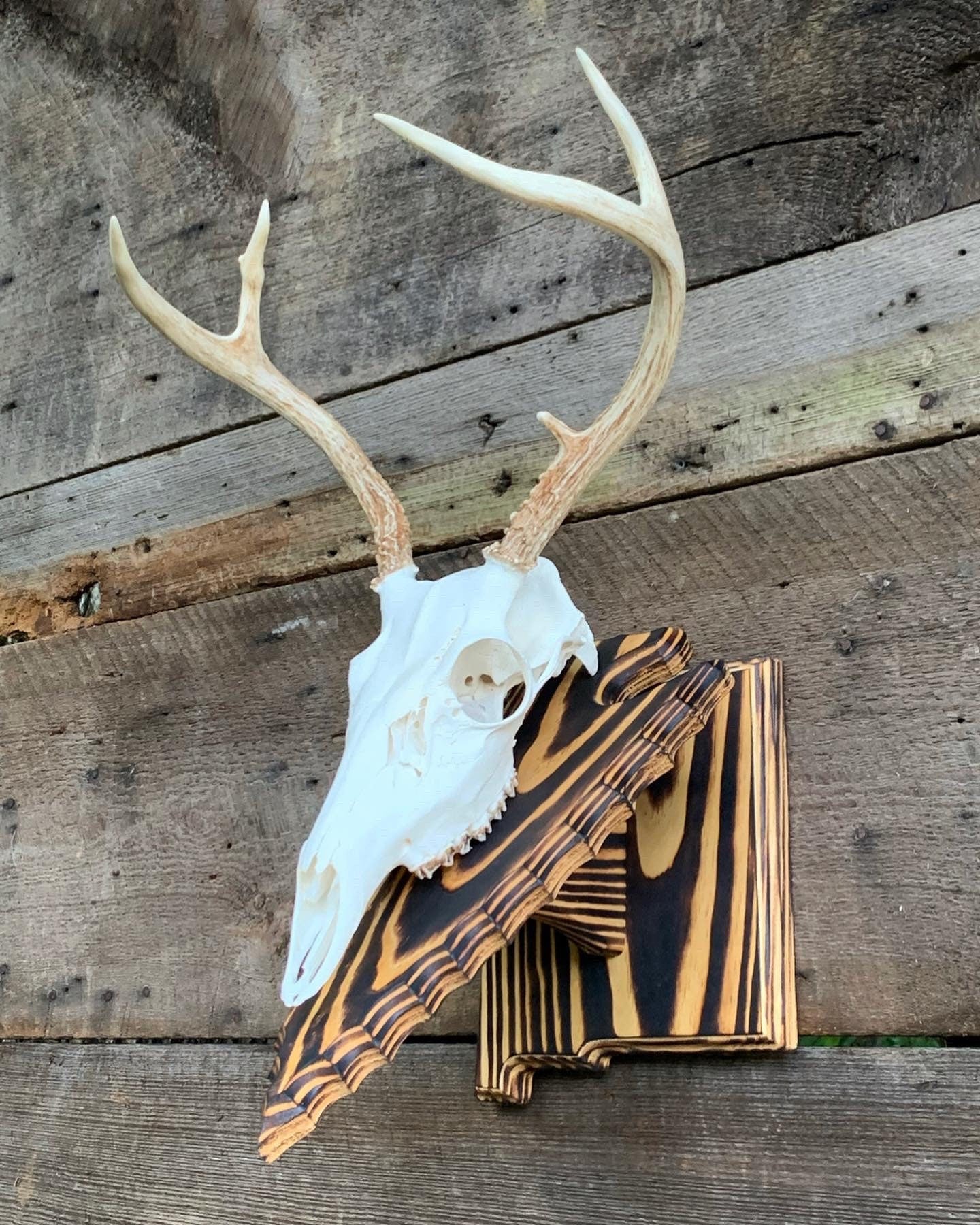 New Mexico Wall Pedestal