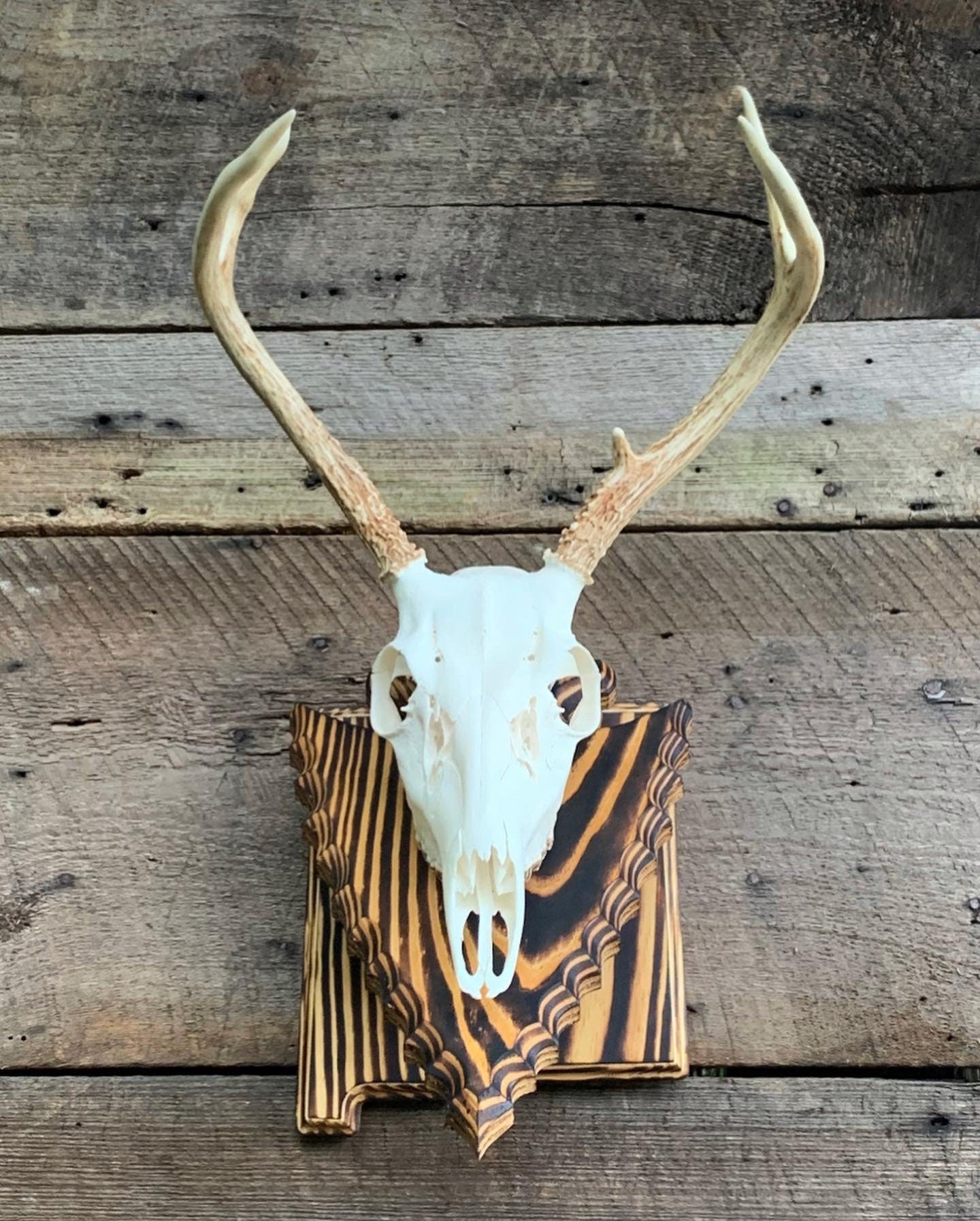 New Mexico Wall Pedestal