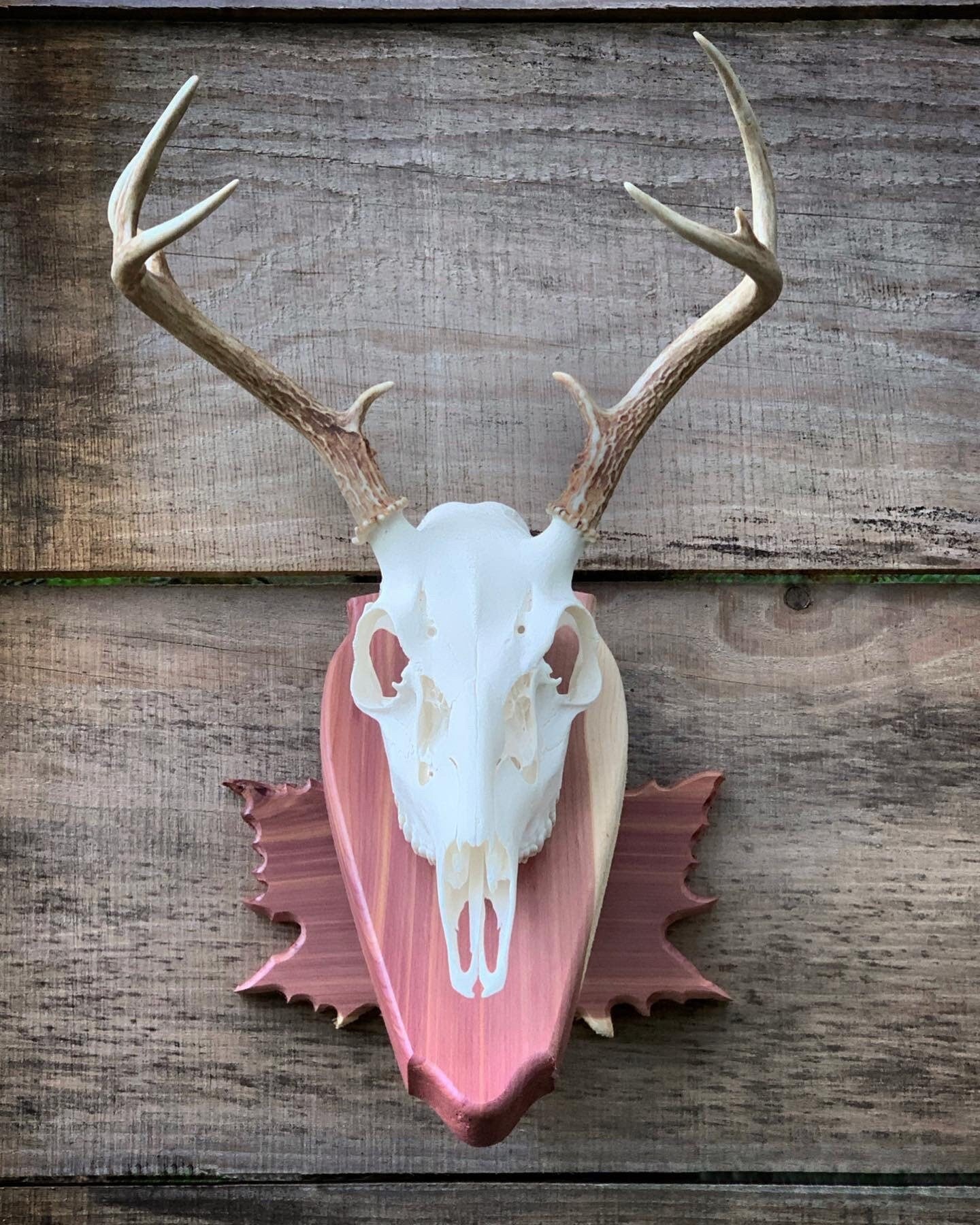 Sycamore Leaf Pedestal