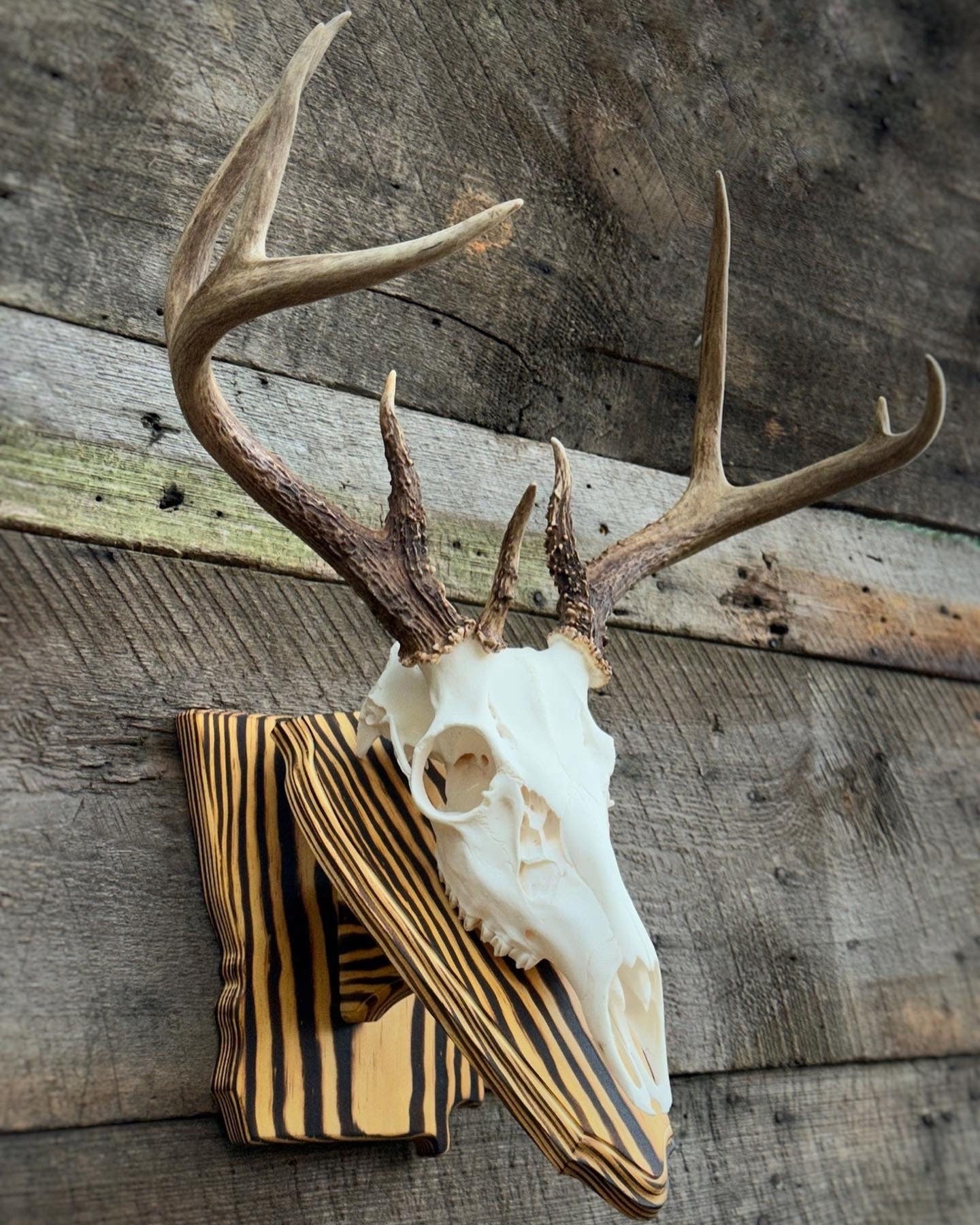 Georgia Wall Pedestal