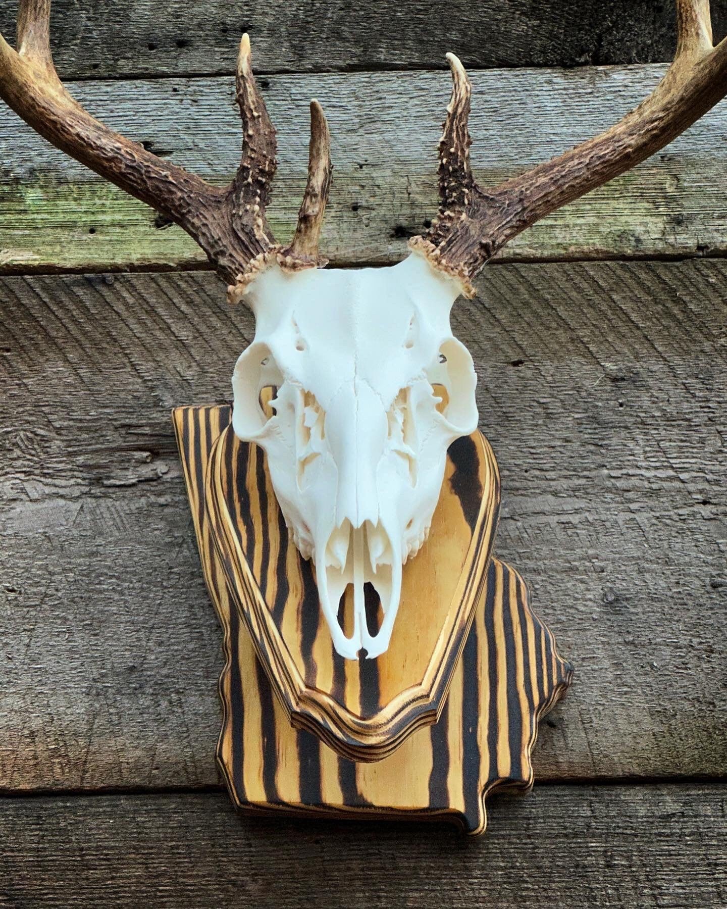 Georgia Wall Pedestal