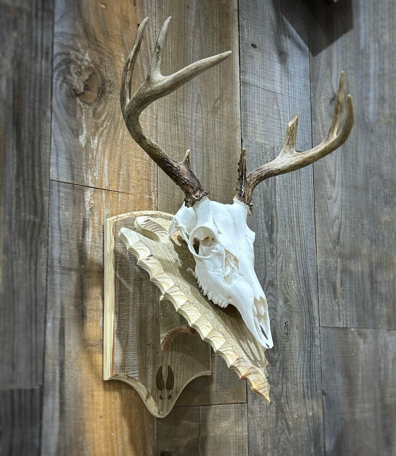 Euro Mount Pedestal (Arrowhead)(Stained)