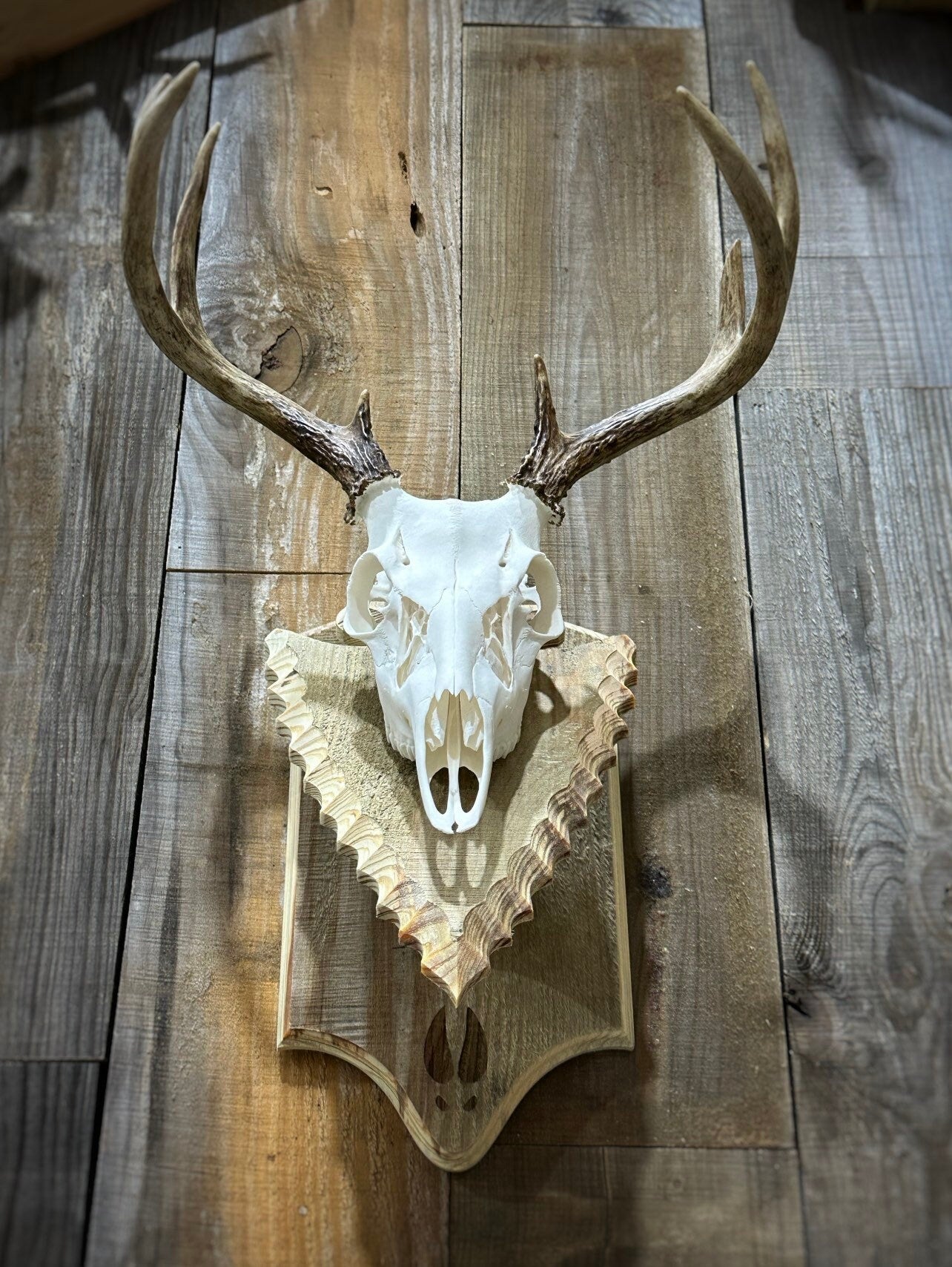 Euro Mount Pedestal (Arrowhead)(Stained)