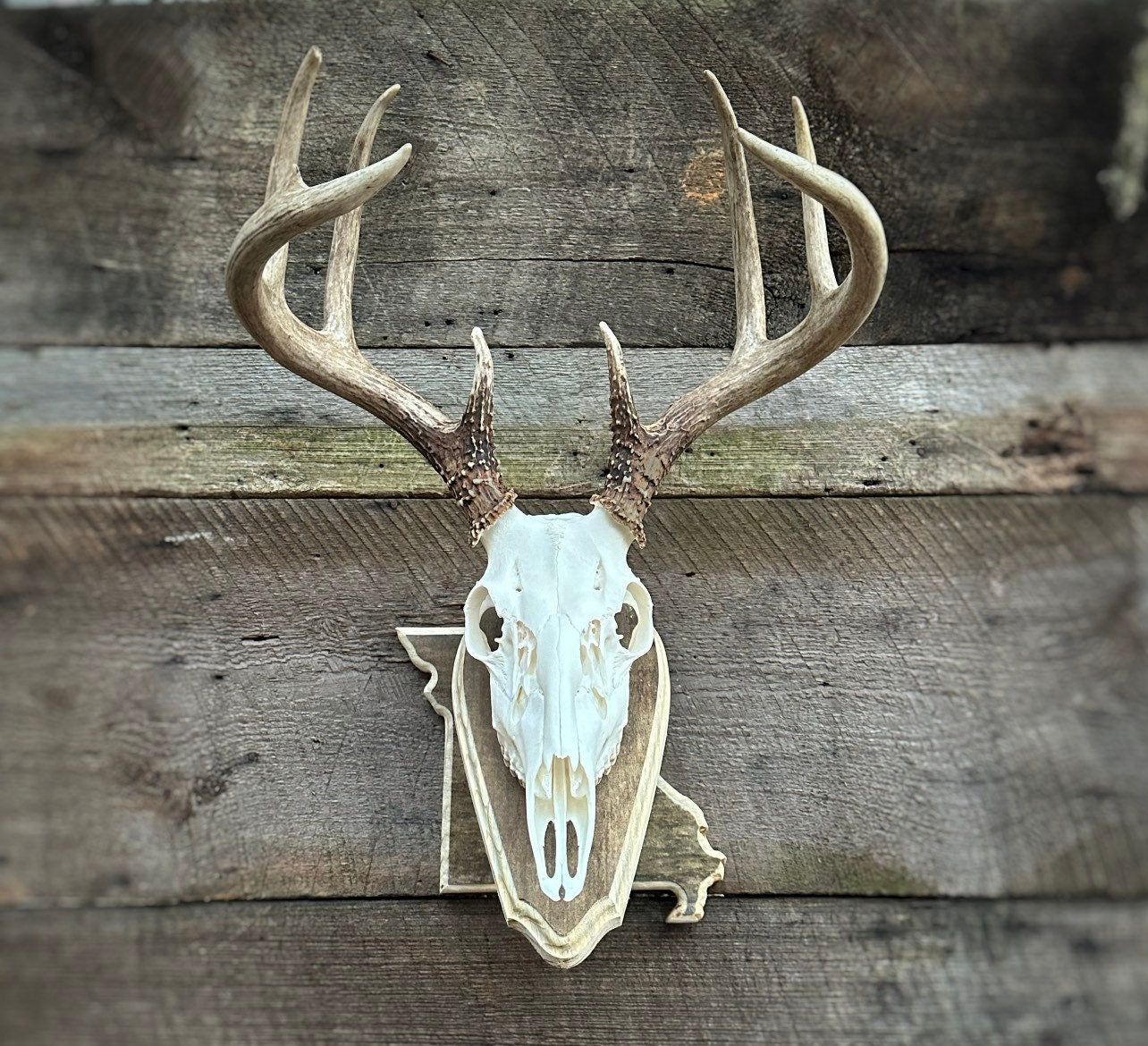 Missouri Pedestal Plaque