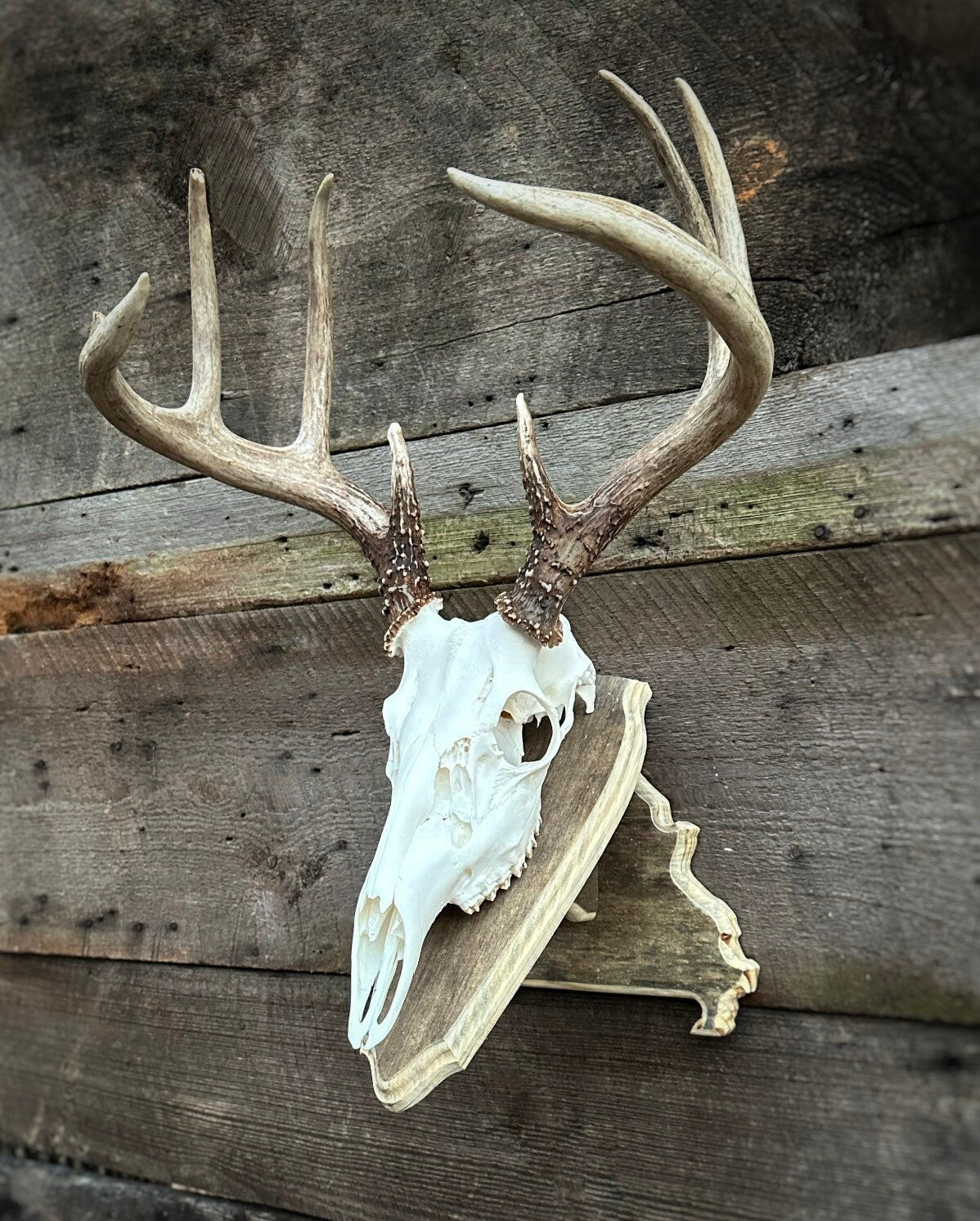 Missouri Pedestal Plaque