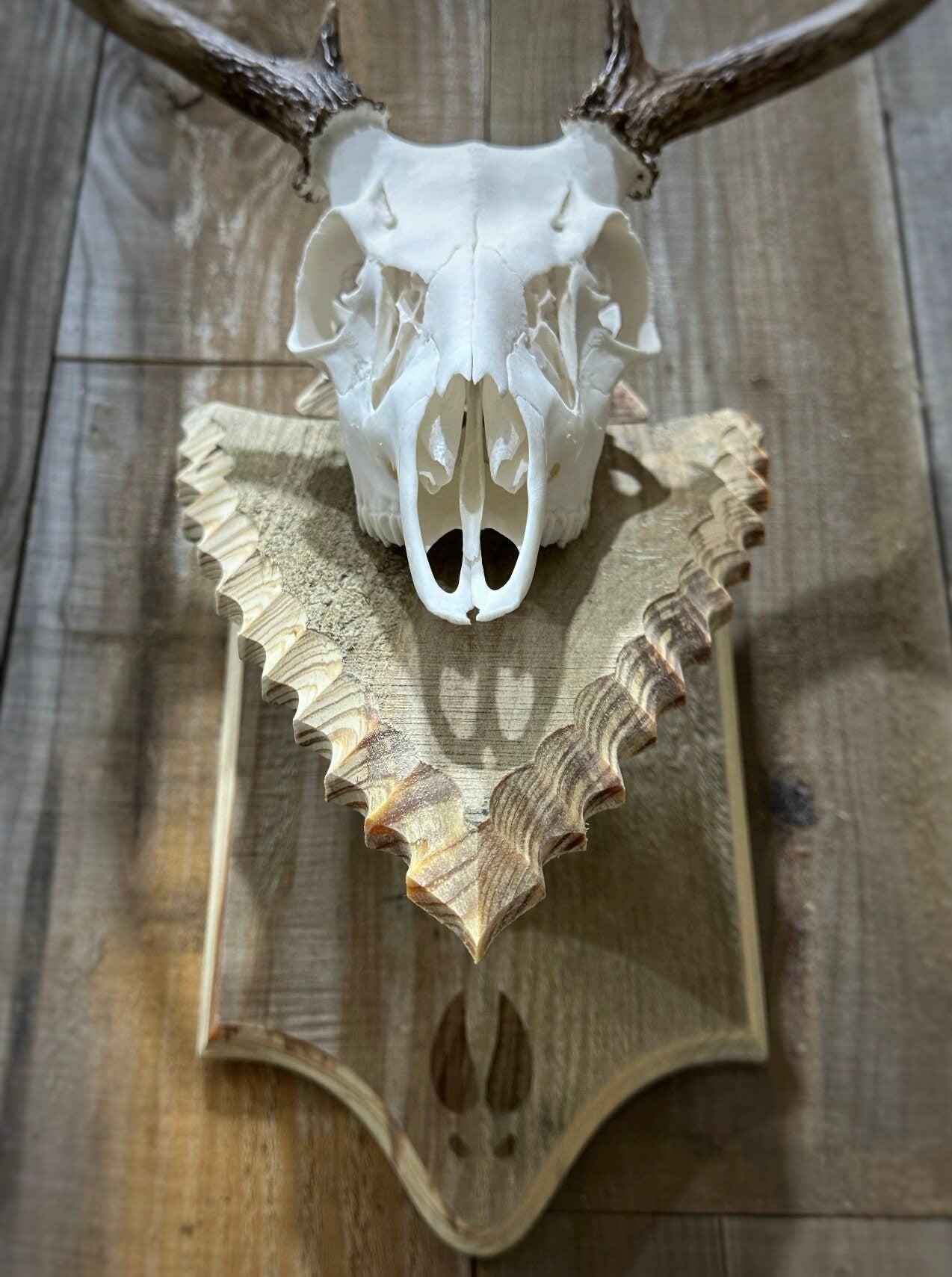 Euro Mount Pedestal (Arrowhead)(Barnwood)