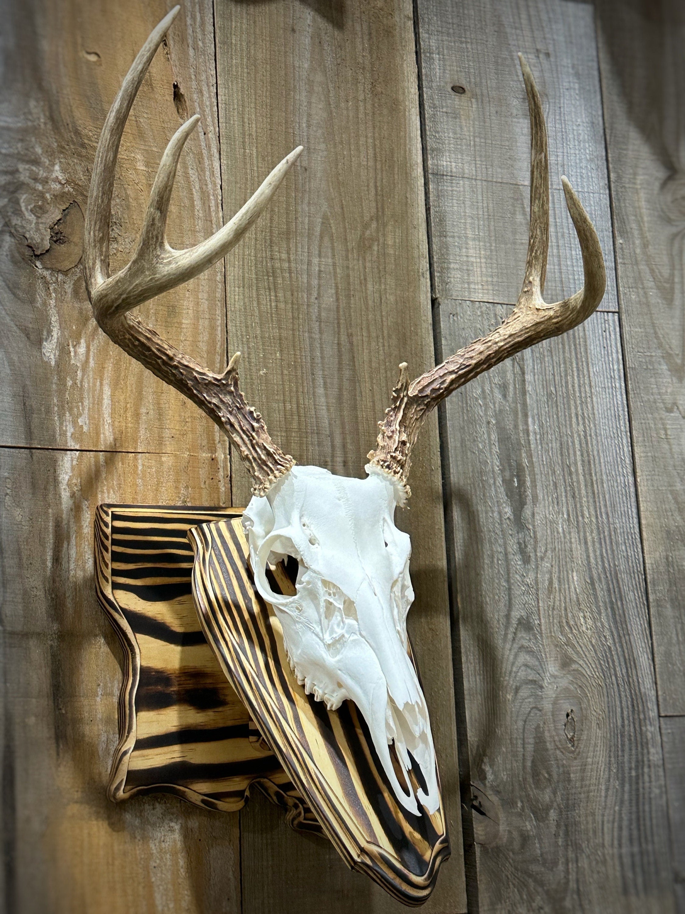 Louisiana Wall Pedestal