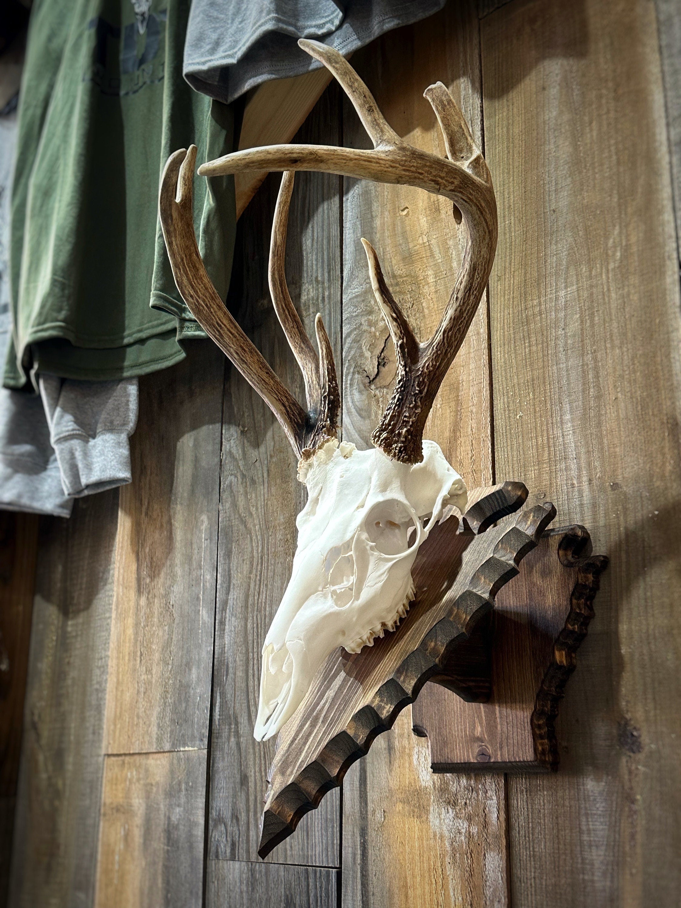 Arrowhead Pedestal (AR Back Plate) (Stained)