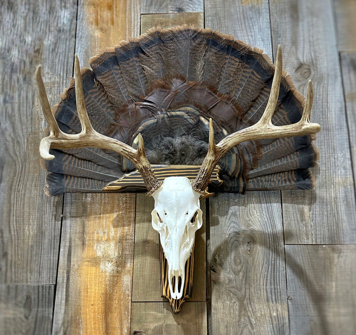 State Plaque with Skull Hanger