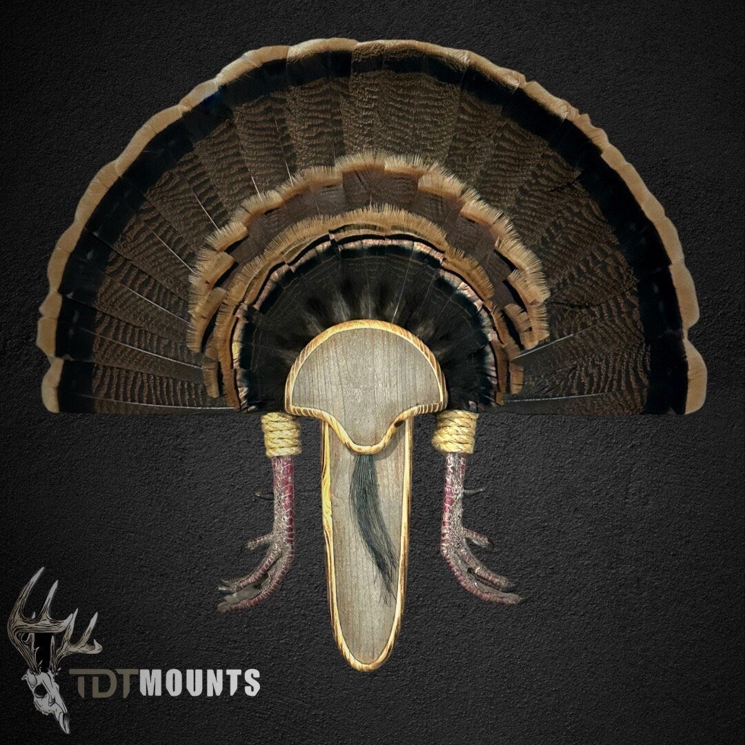 Barnwood Turkey Fan Plaque