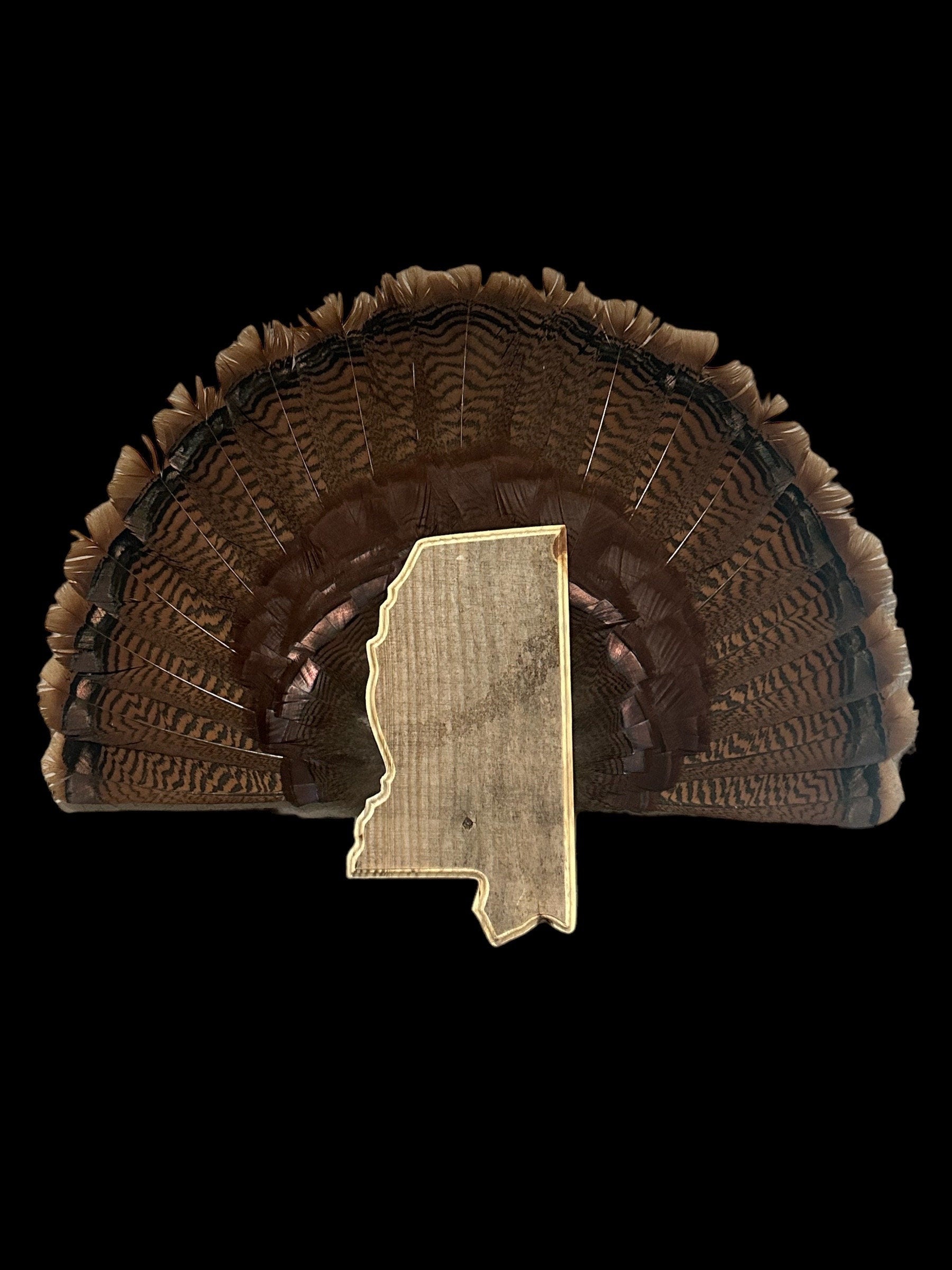 Mississippi Turkey Fan Plaque