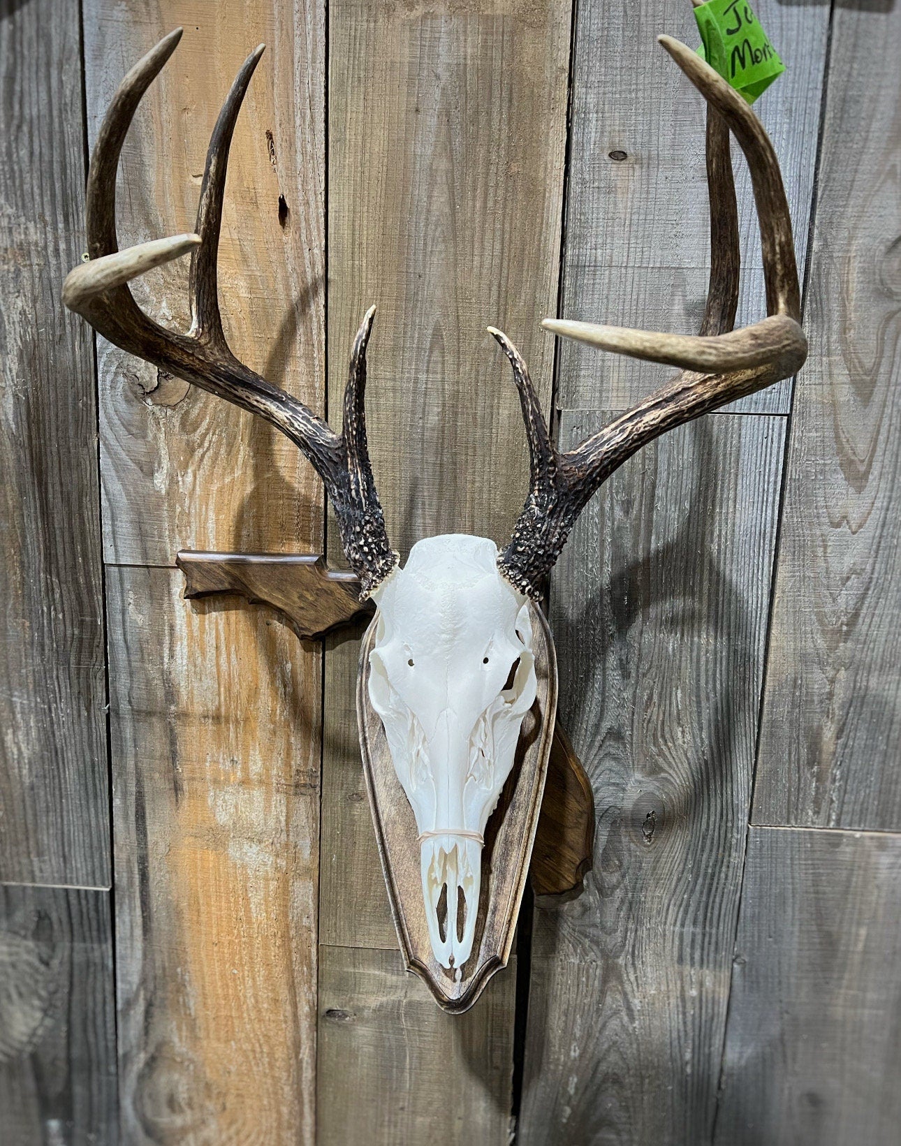 Florida Wall Pedestal