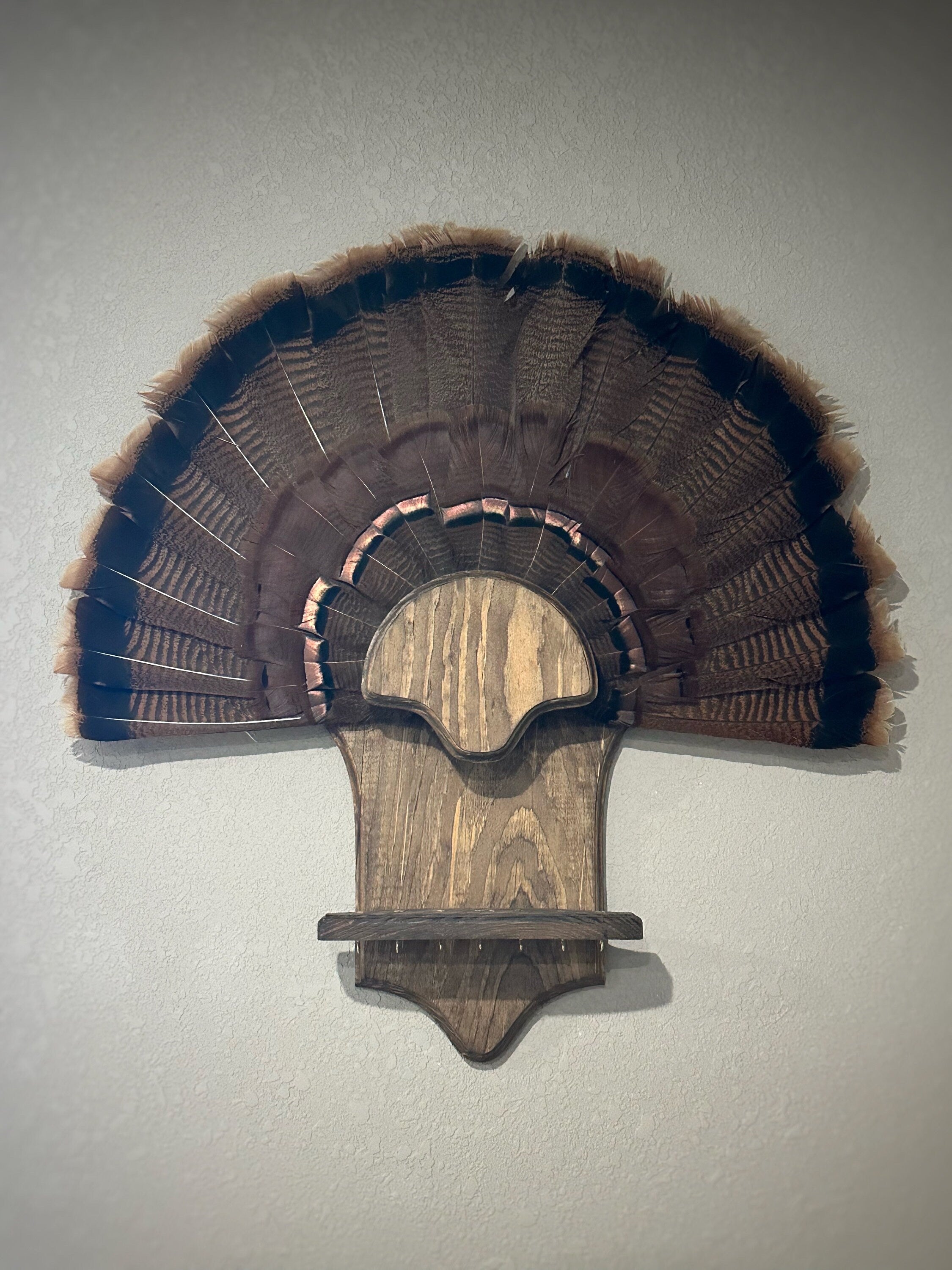 7 Beard Holder