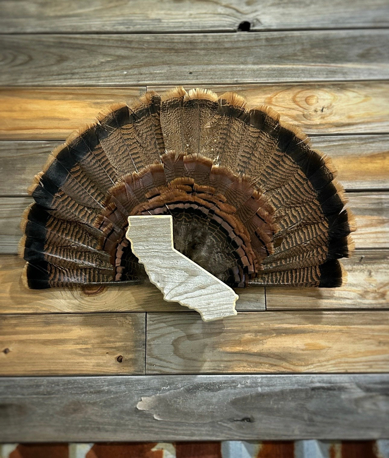 California Turkey Fan Plaque