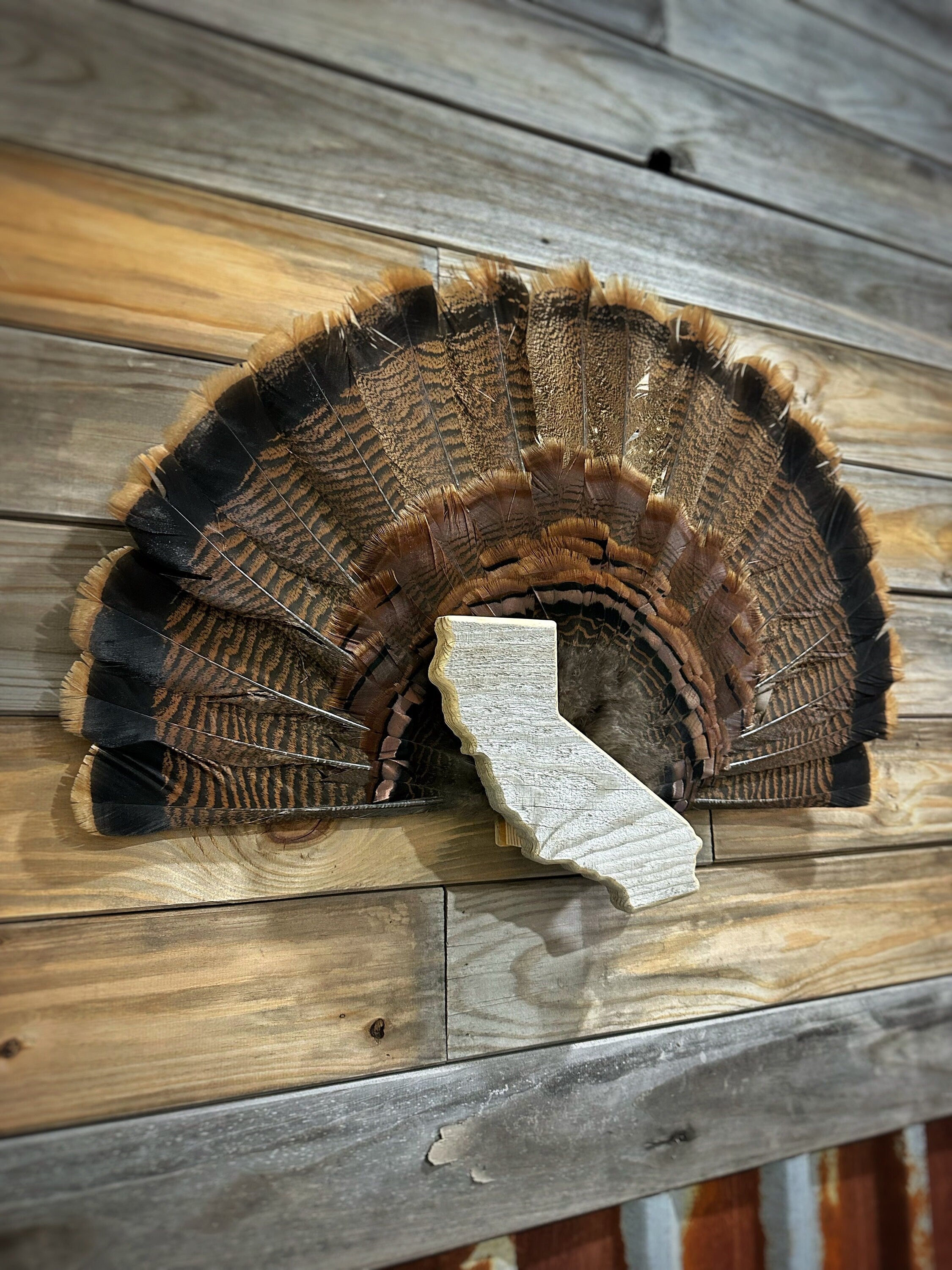 California Turkey Fan Plaque