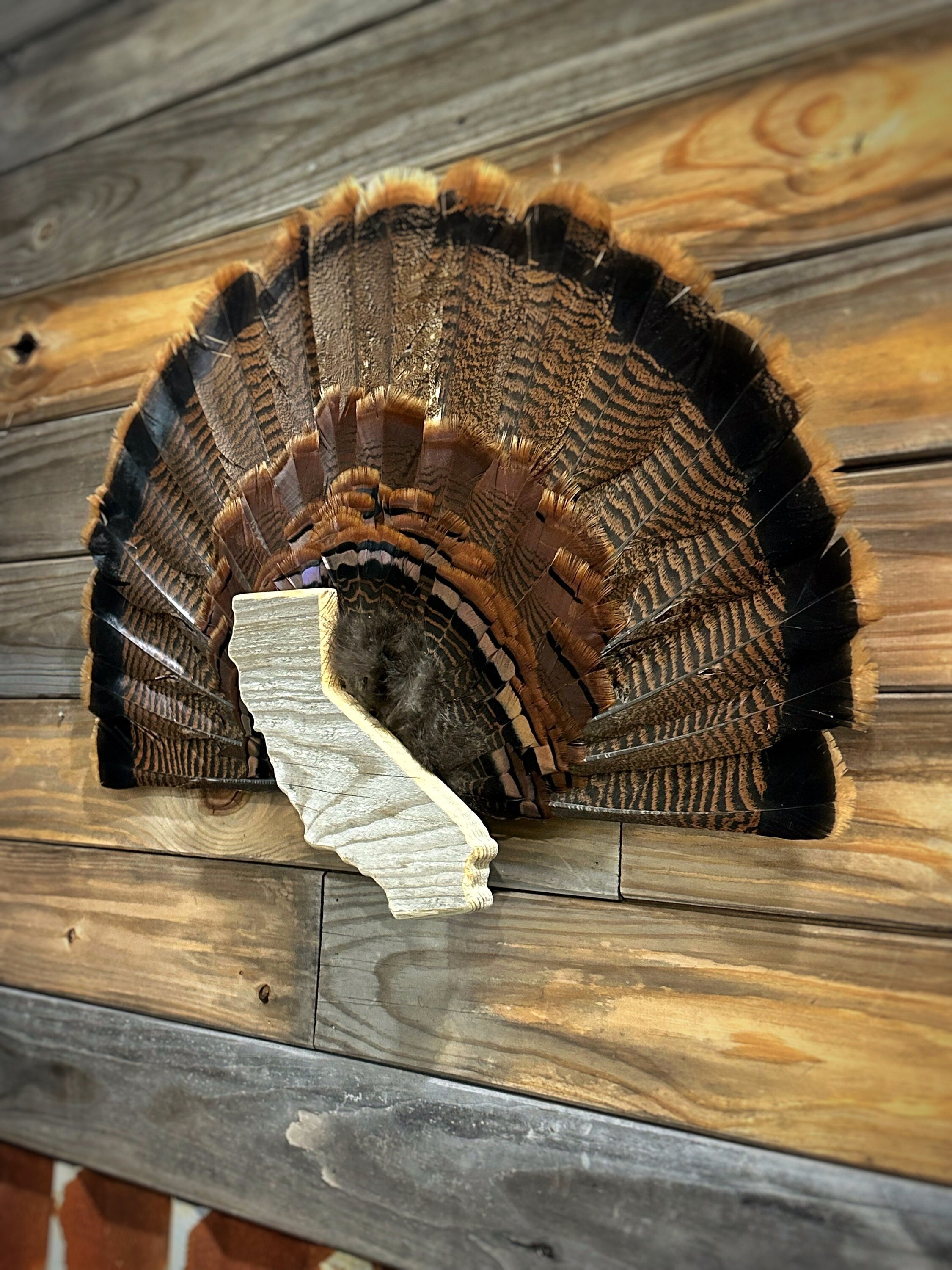 California Turkey Fan Plaque
