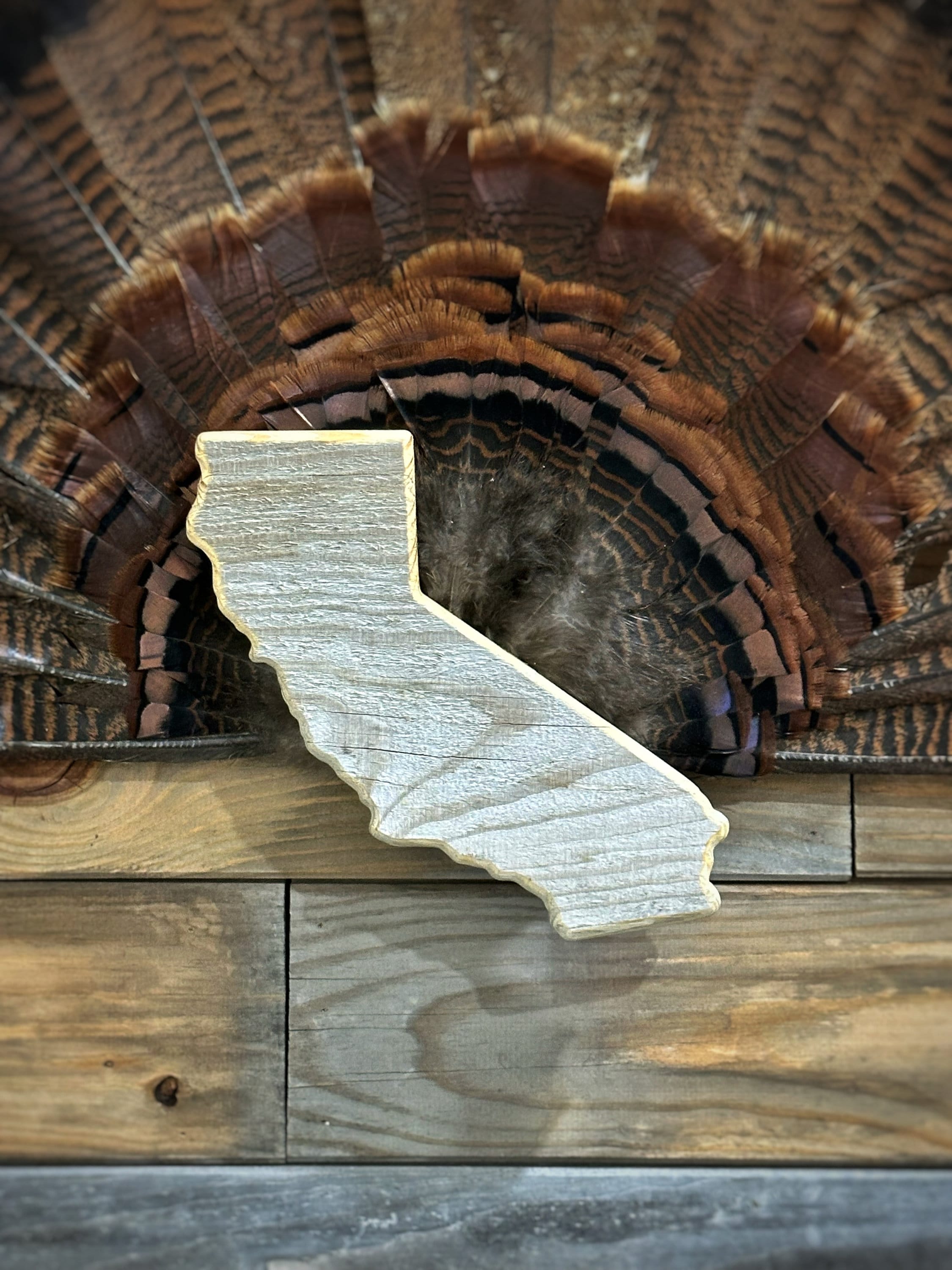 California Turkey Fan Plaque