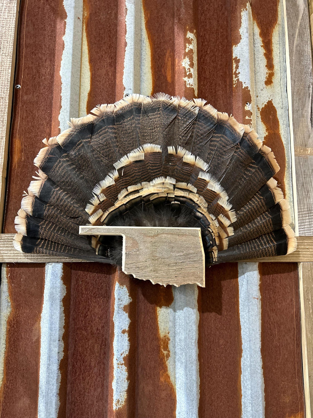Oklahoma Turkey Fan Plaque