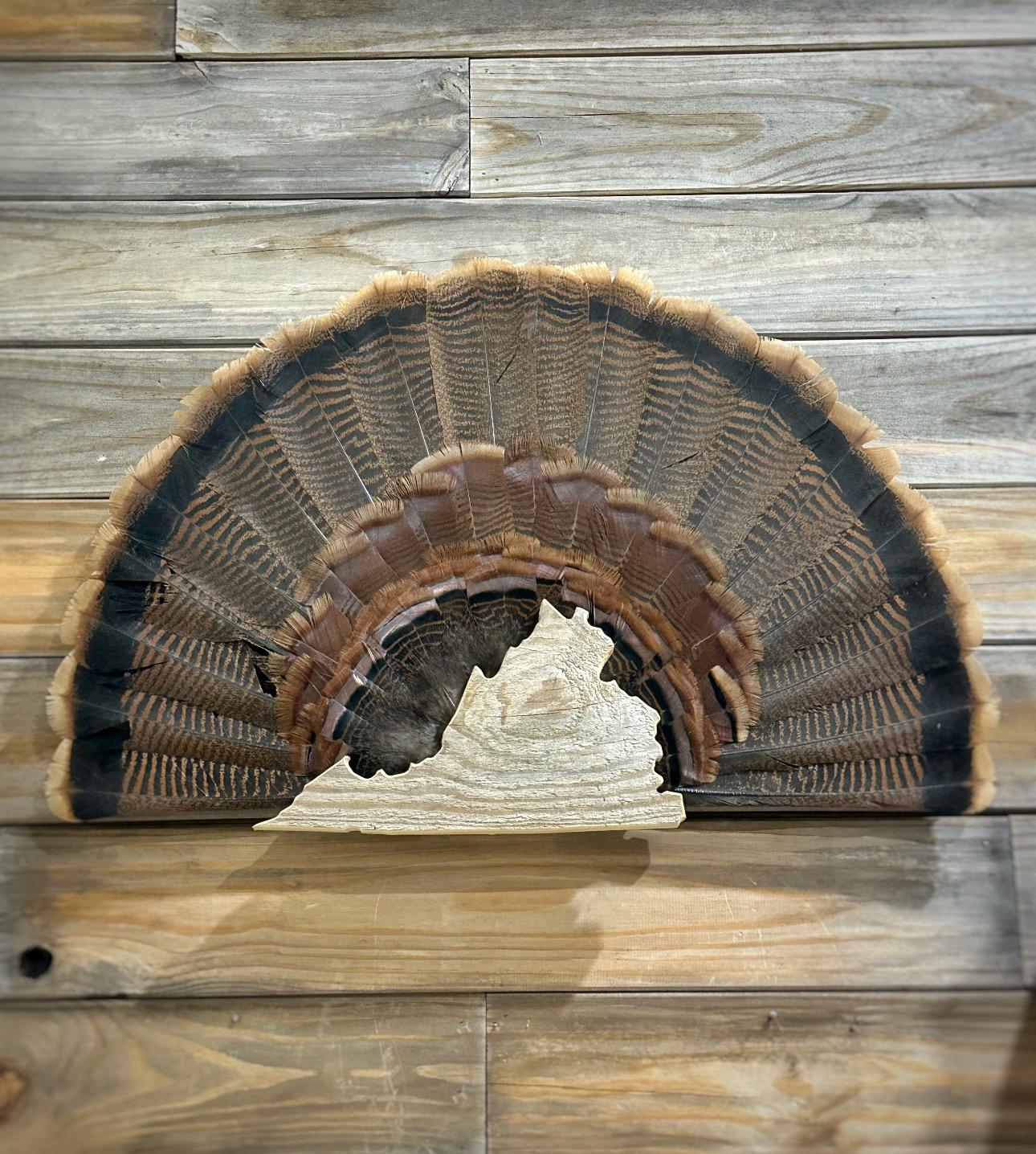 Virginia Turkey Fan Plaque