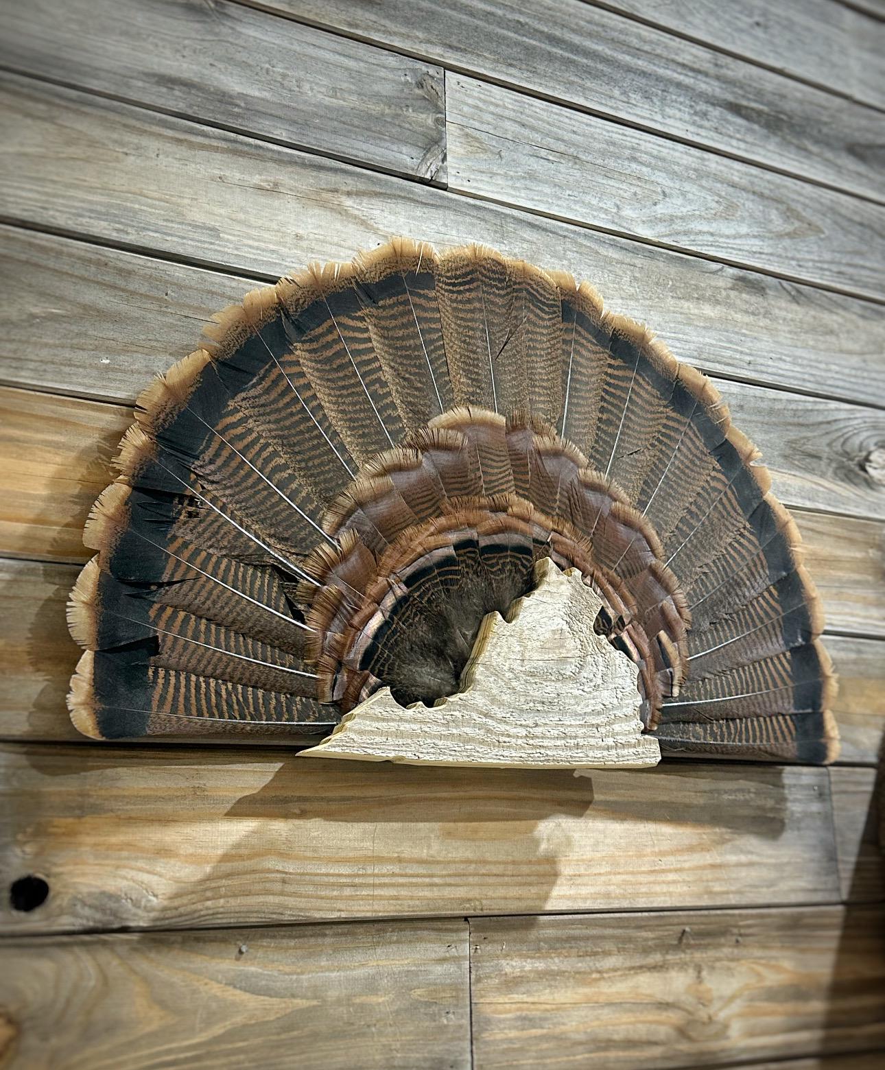 Virginia Turkey Fan Plaque