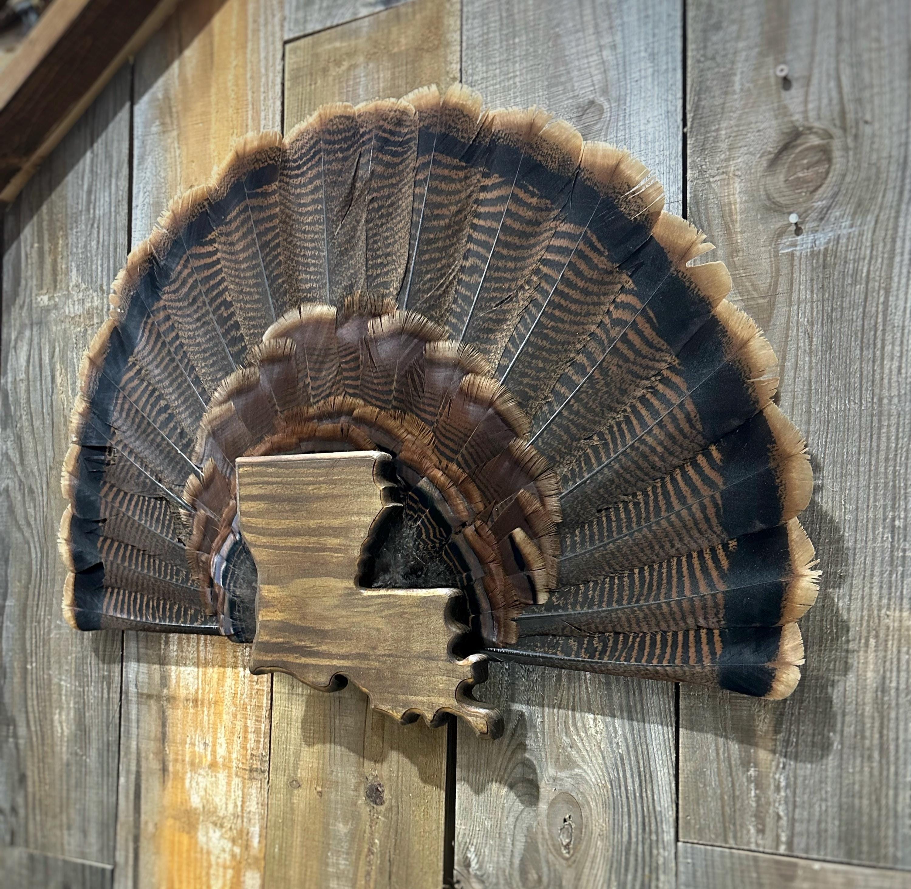 Louisiana Turkey Fan Plaque