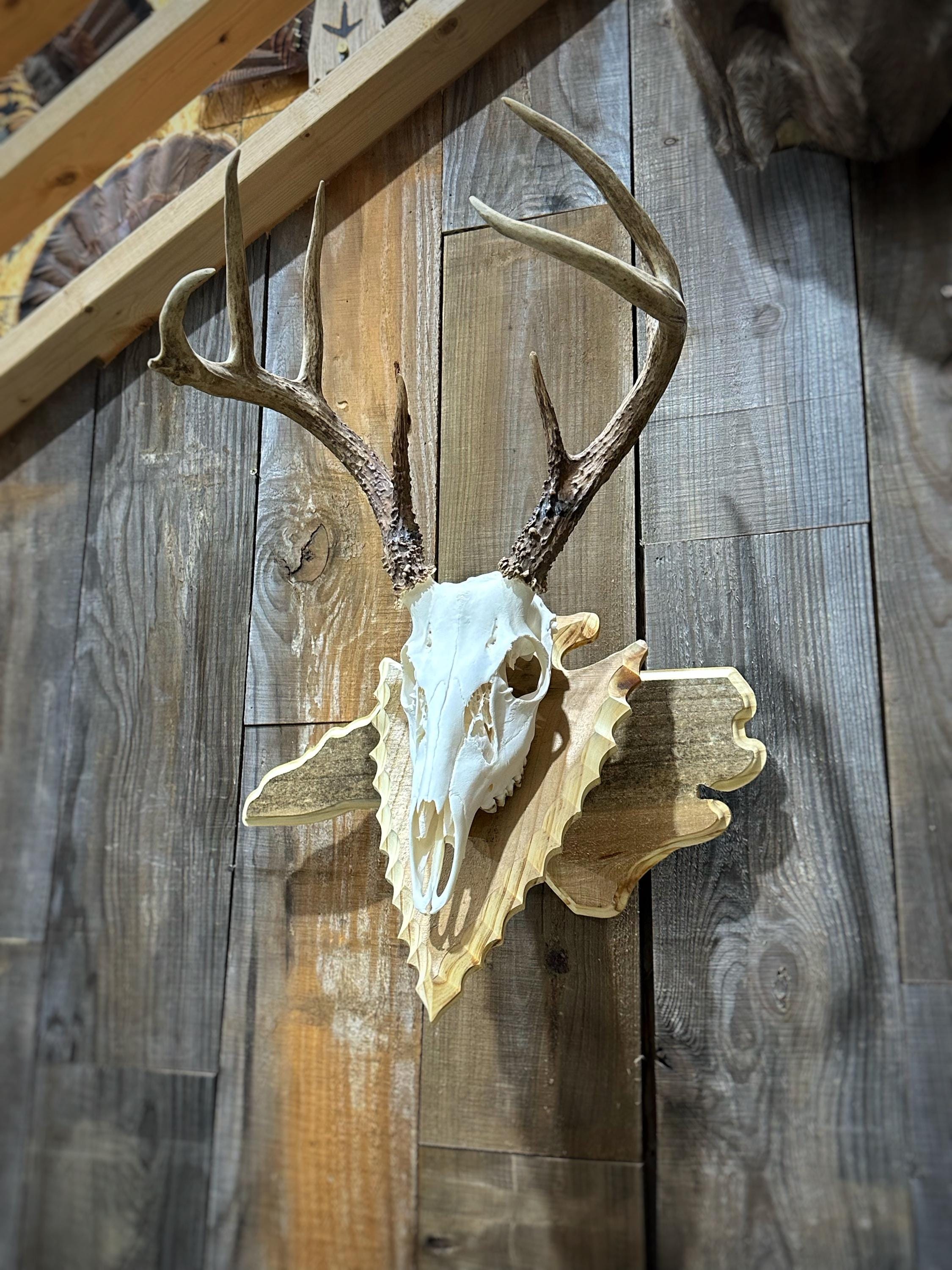 North Carolina Wall Pedestal (Arrowhead)