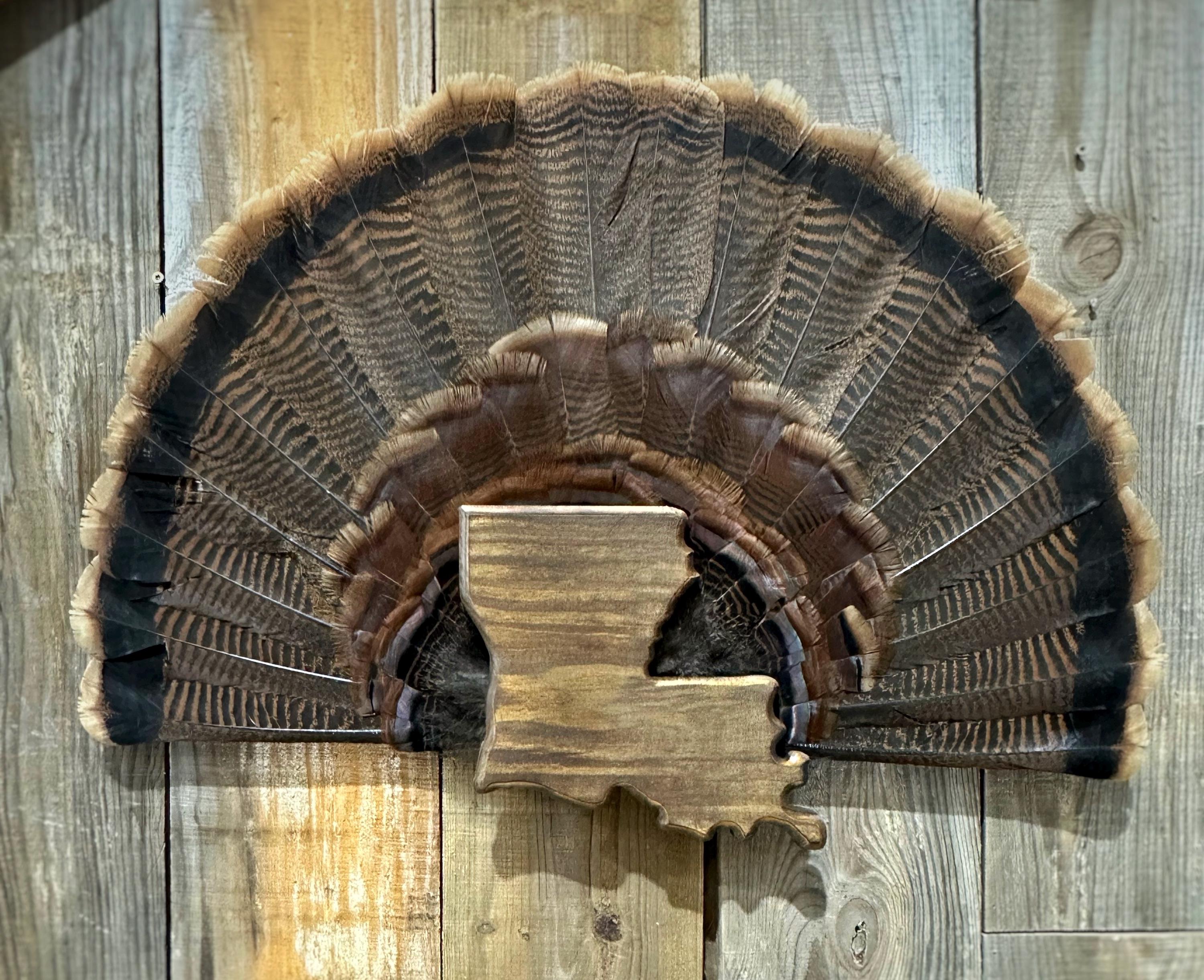 Louisiana Turkey Fan Plaque
