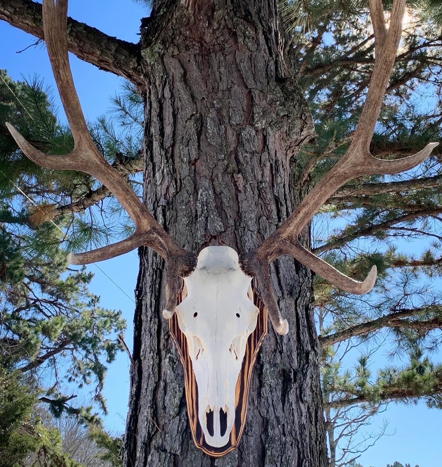 Elk Flat Panel