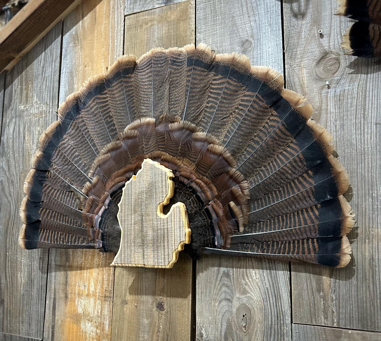 Michigan Turkey Fan Plaque (Lower Peninsula)
