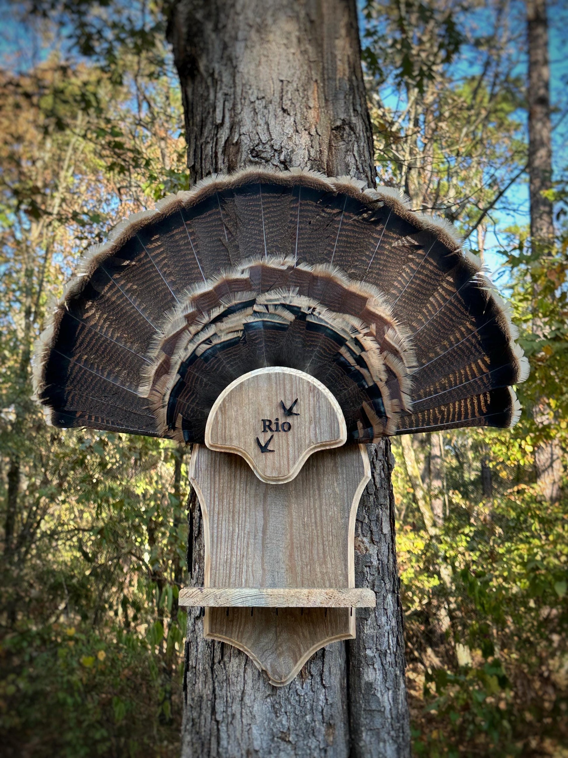 Rio 7 Beard Holder