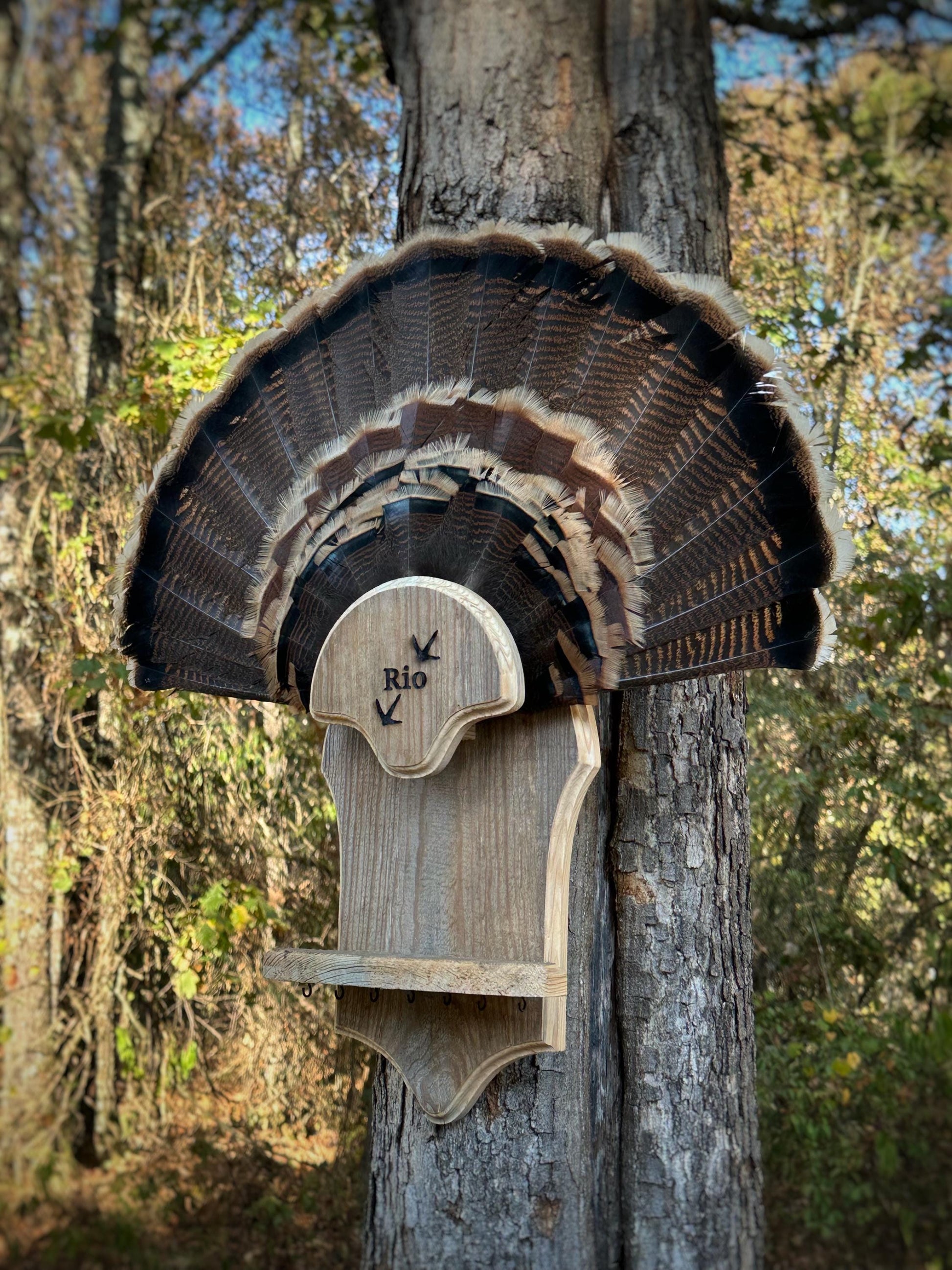 Rio 7 Beard Holder