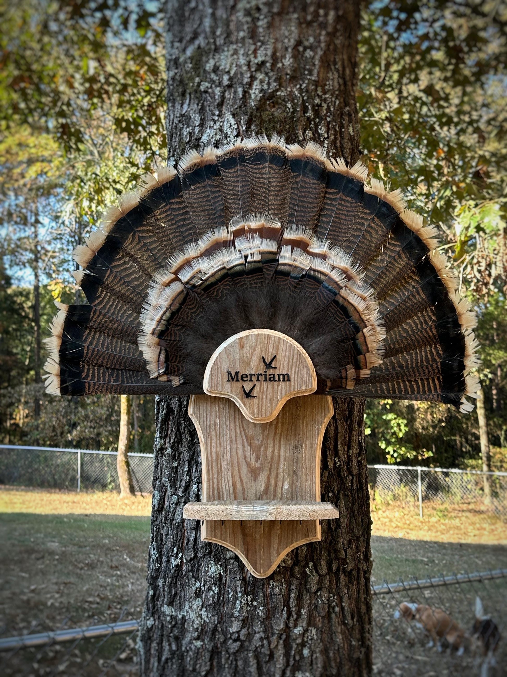 Merriam 7 Beard Holder