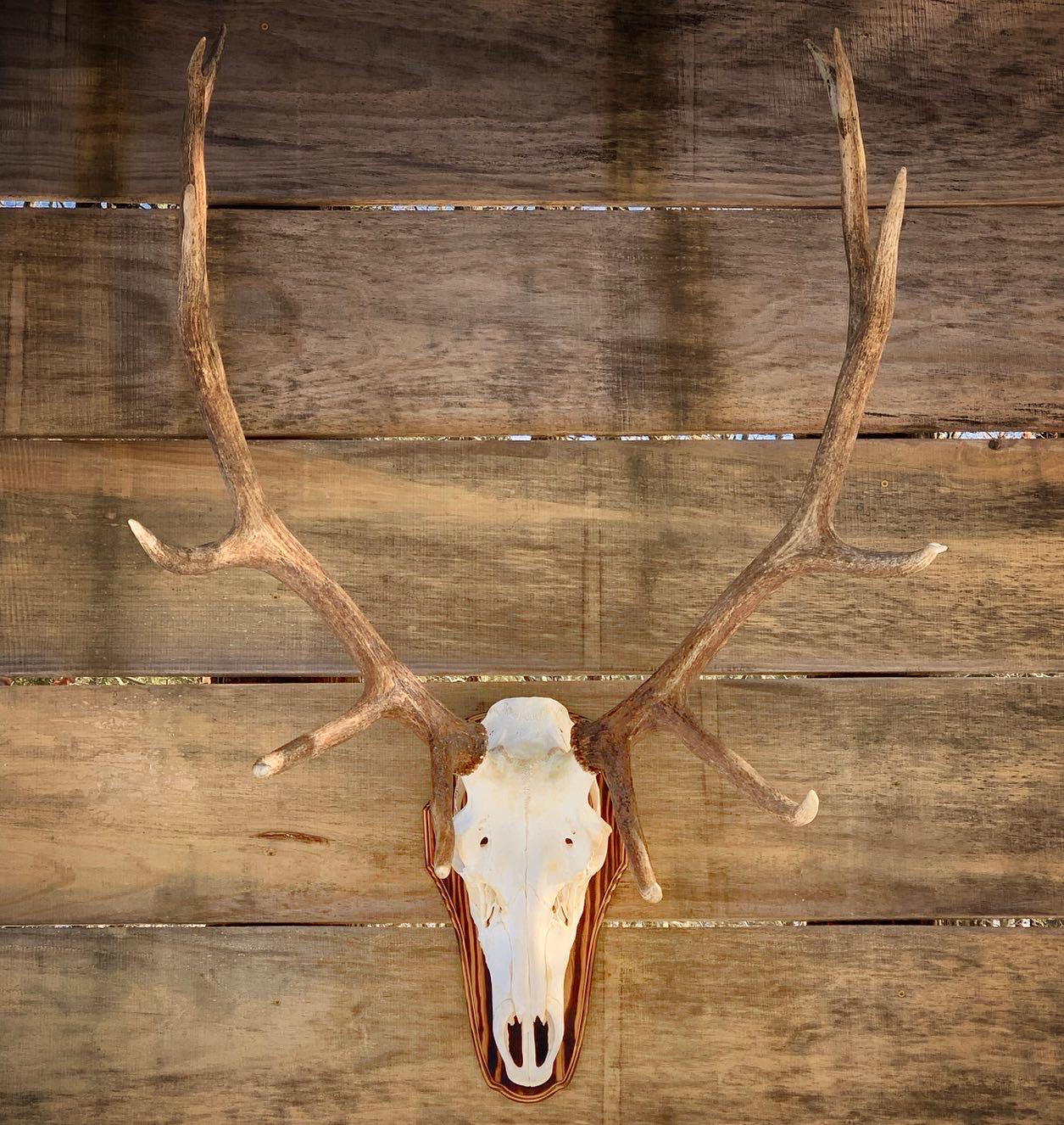 Elk Flat Panel