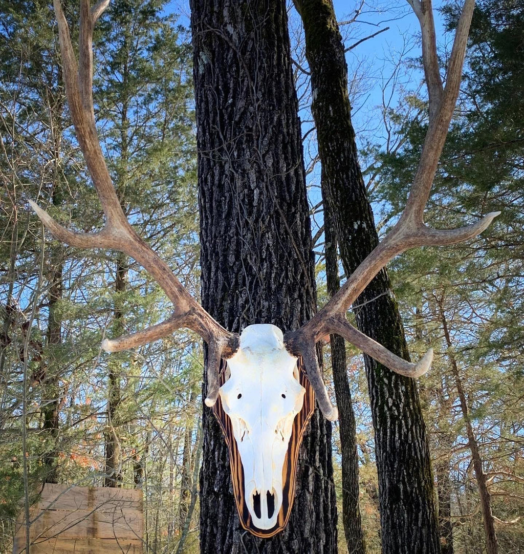 Elk Flat Panel