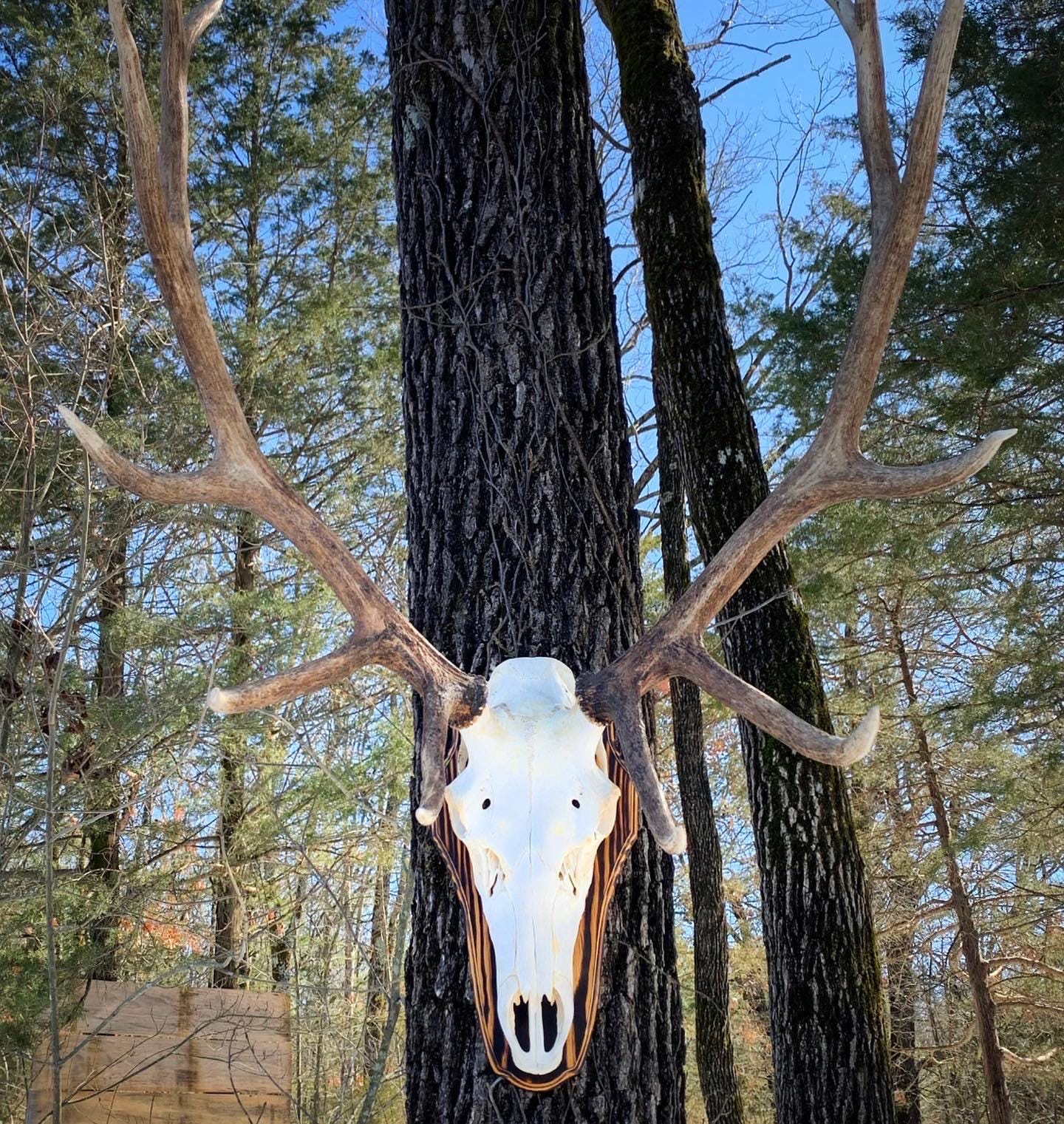 Elk Flat Panel