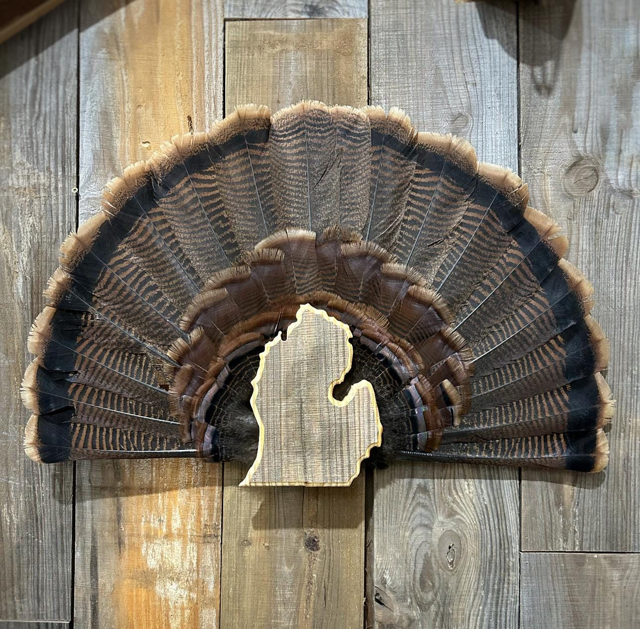 Michigan Turkey Fan Plaque (Lower Peninsula)