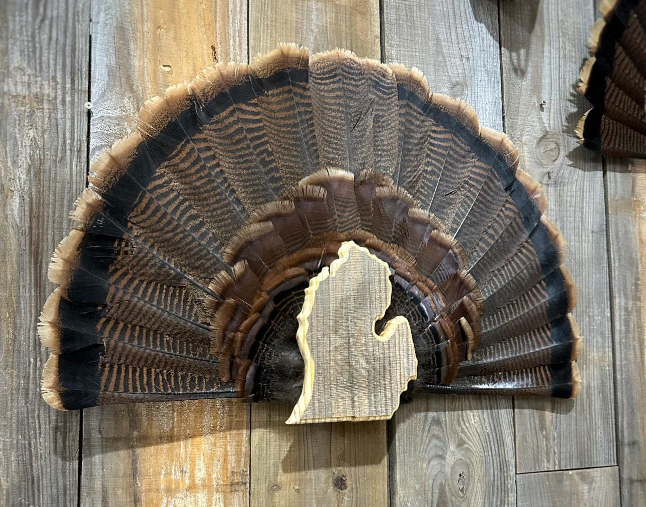 Michigan Turkey Fan Plaque (Lower Peninsula)