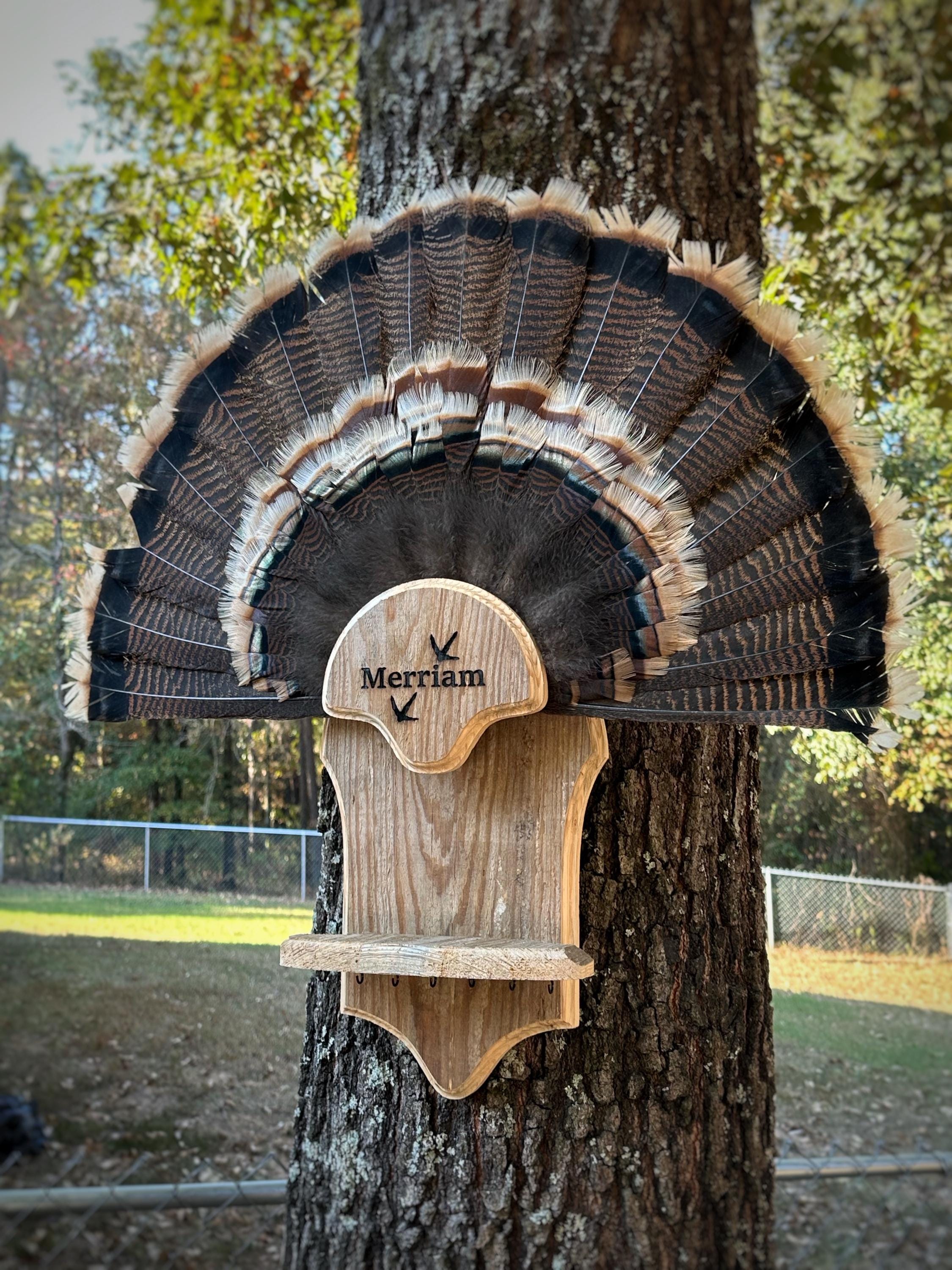 Merriam 7 Beard Holder