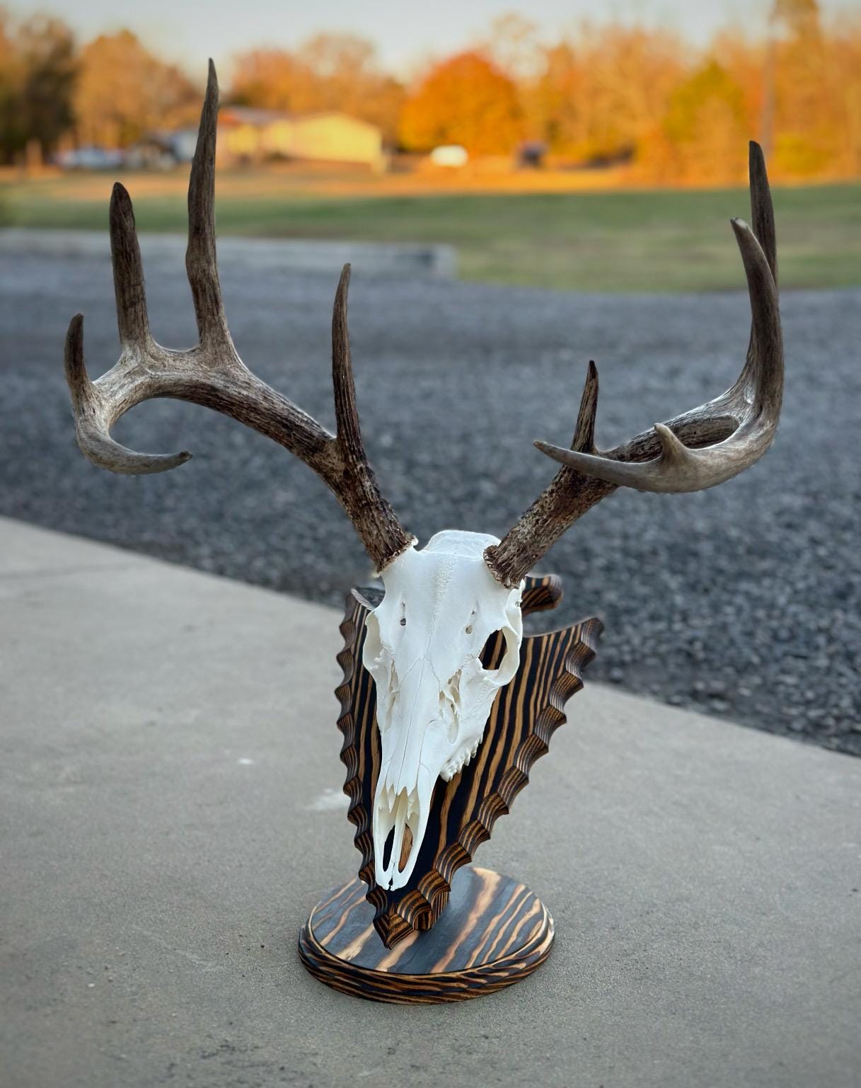 Oval Arrowhead Tabletop Pedestal