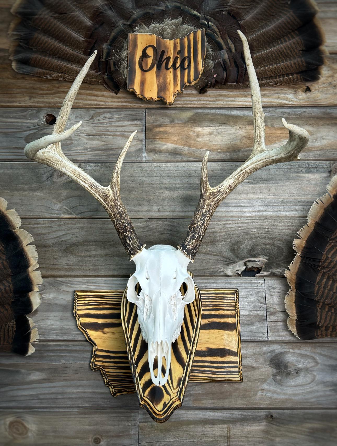 Montana Wall Pedestal