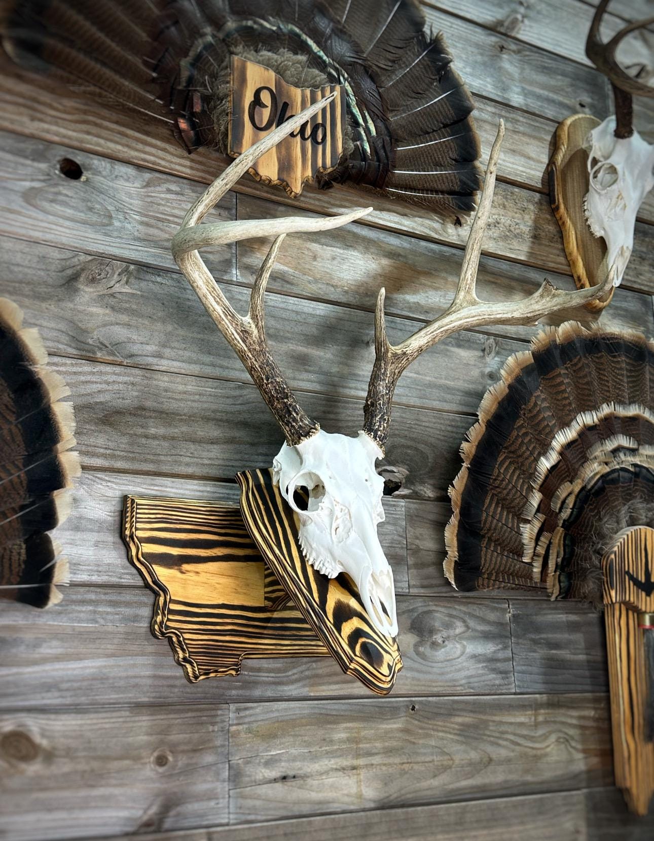 Montana Wall Pedestal