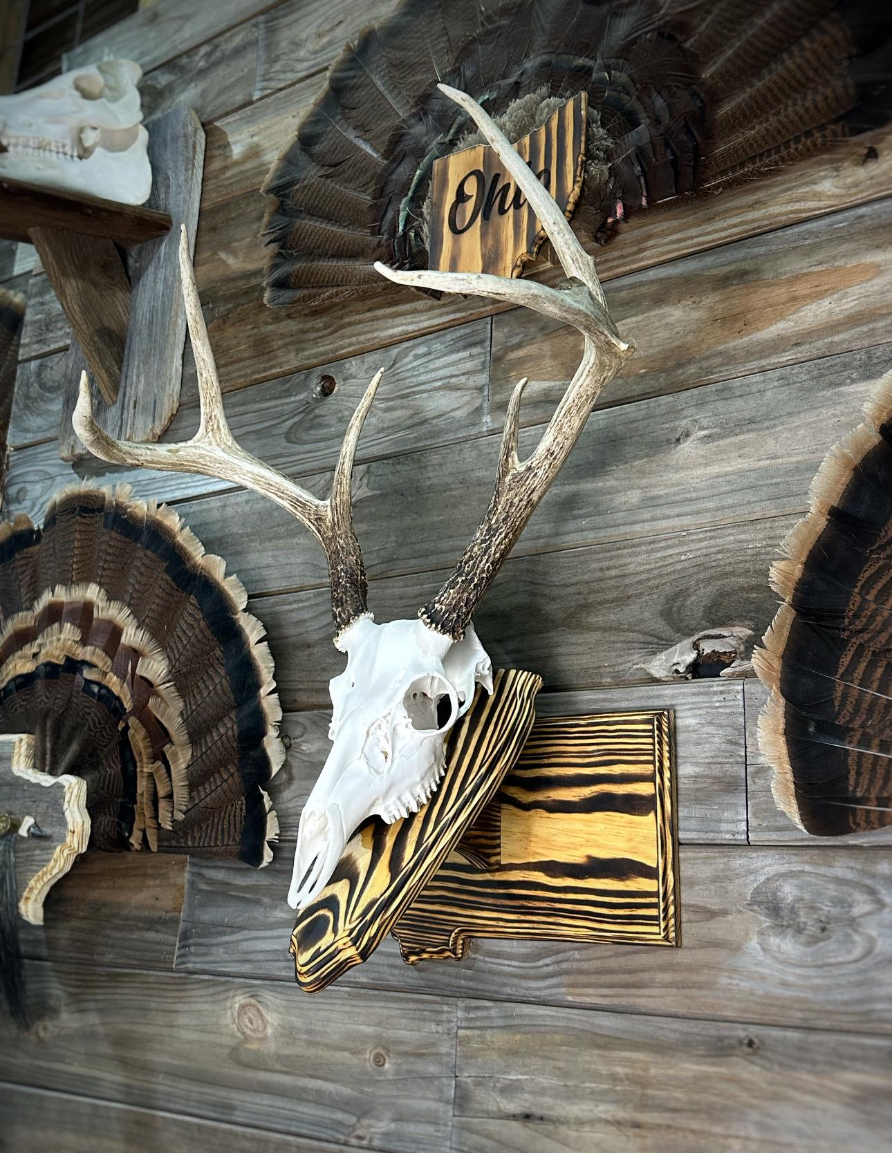 Montana Wall Pedestal