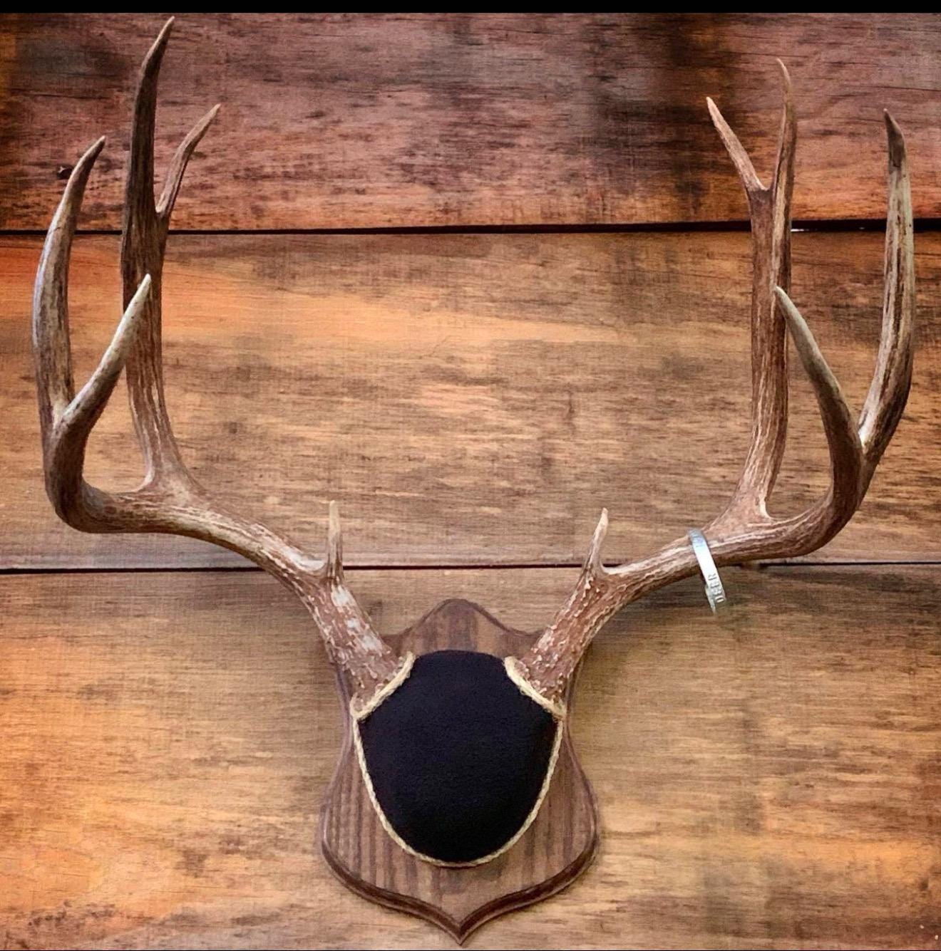 Antler Mounting Kit w. Instructional Video