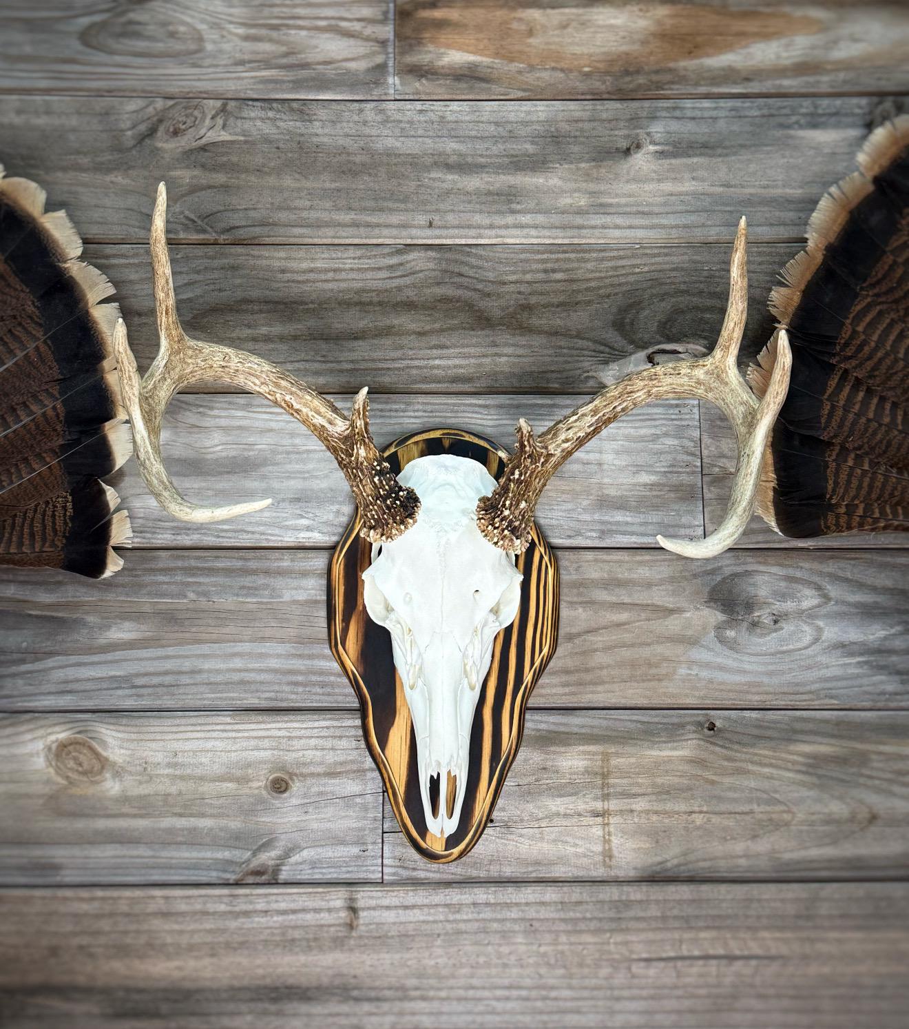 Barnwood European Plaque (Burnt Edges) (Rounded)