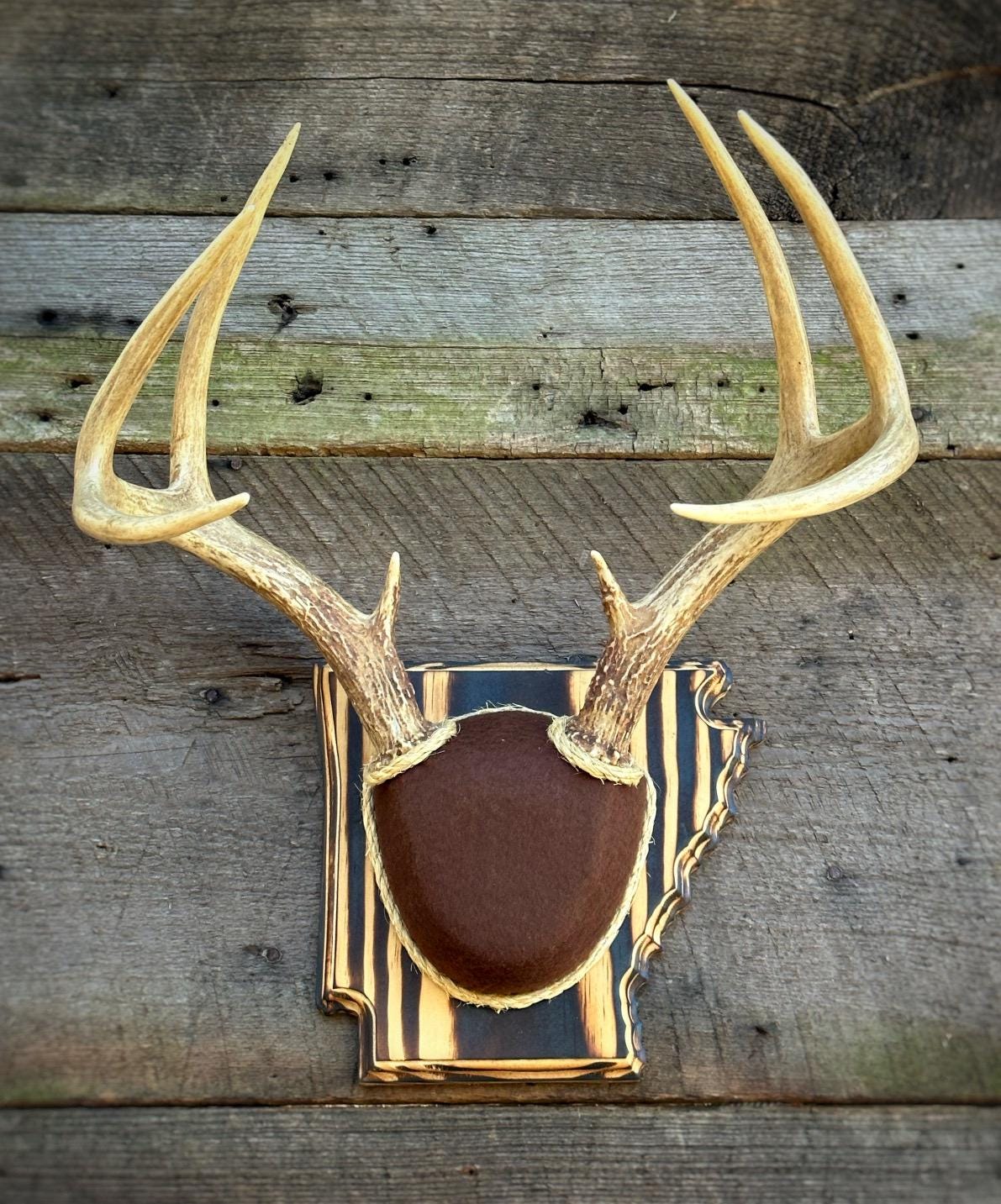 Arkansas Antler Mount Kit (Instructional Video) (All States Available)