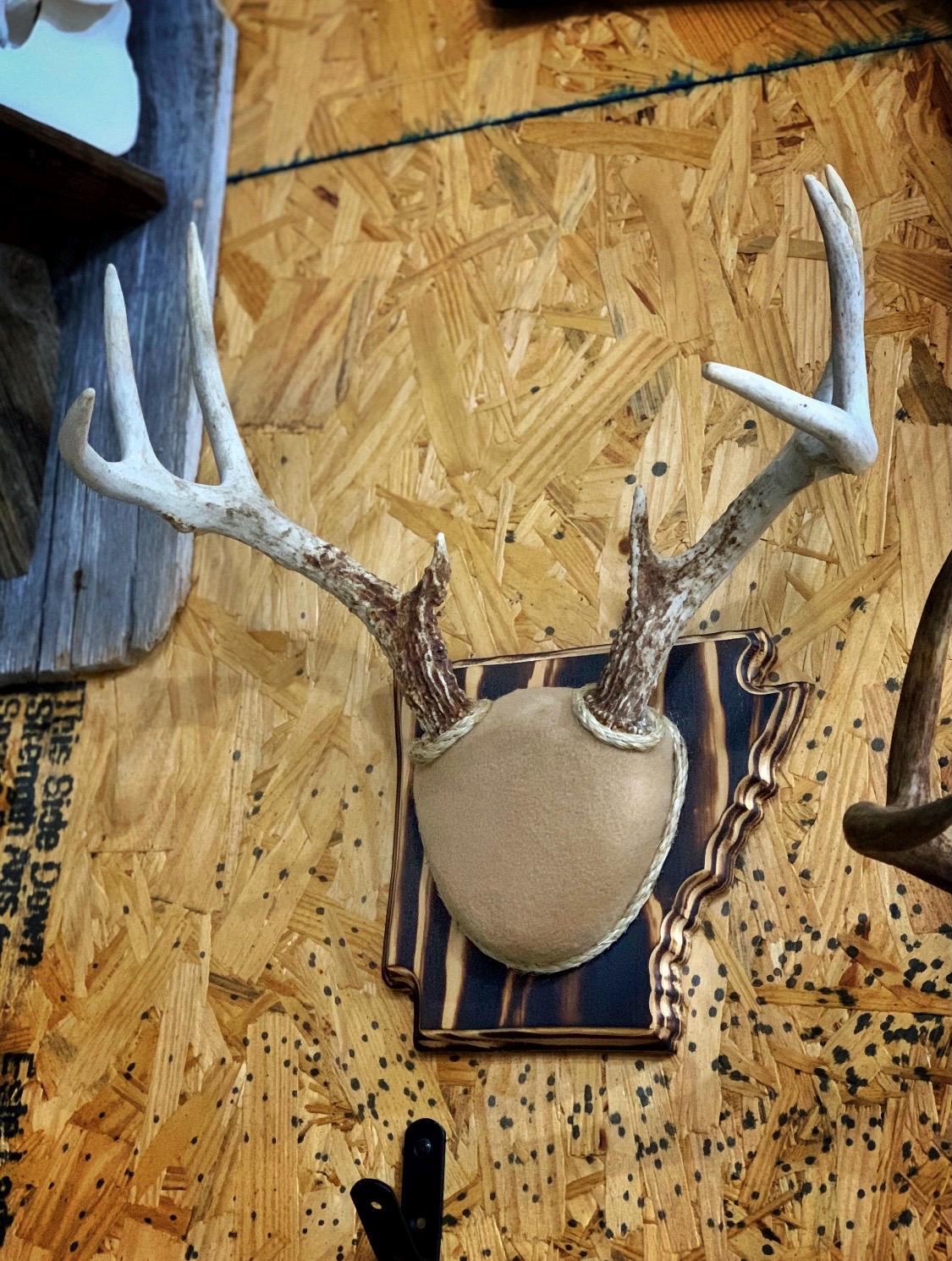 Antler Mounting Kit w. Instructional Video