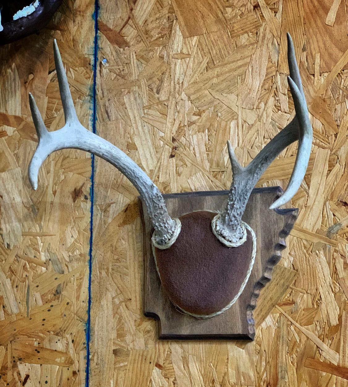 Antler Mounting Kit w. Instructional Video