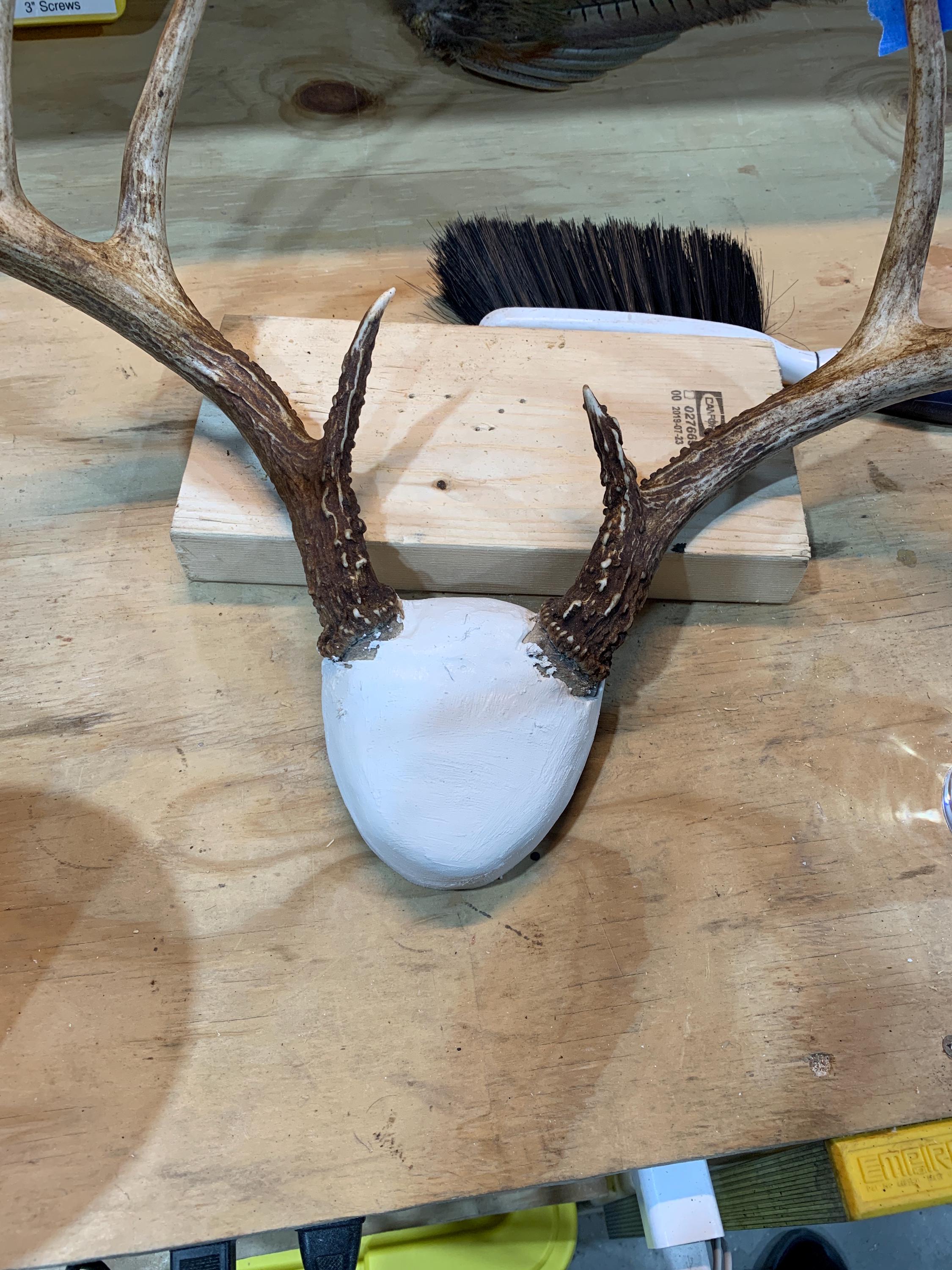 Antler Mounting Kit w. Instructional Video