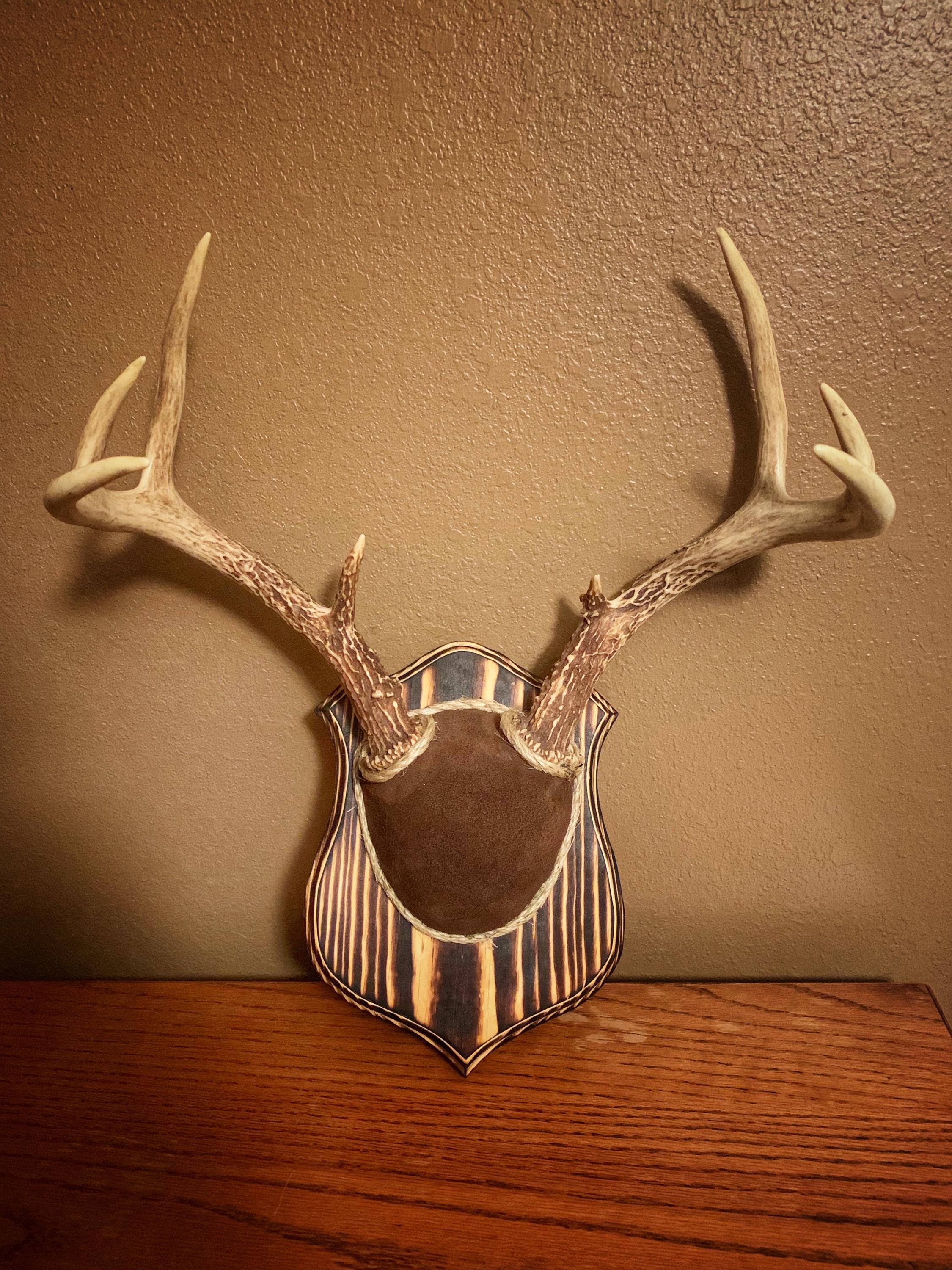 Antler Mounting Kit w. Instructional Video