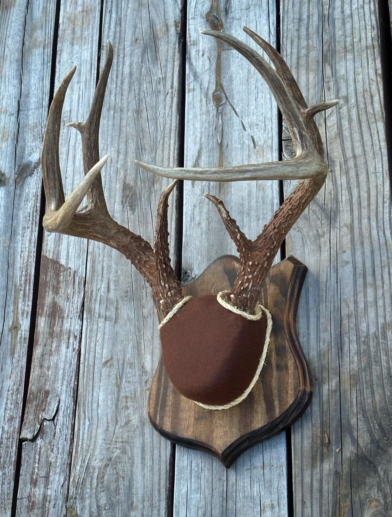 Antler Mounting Kit w. Instructional Video